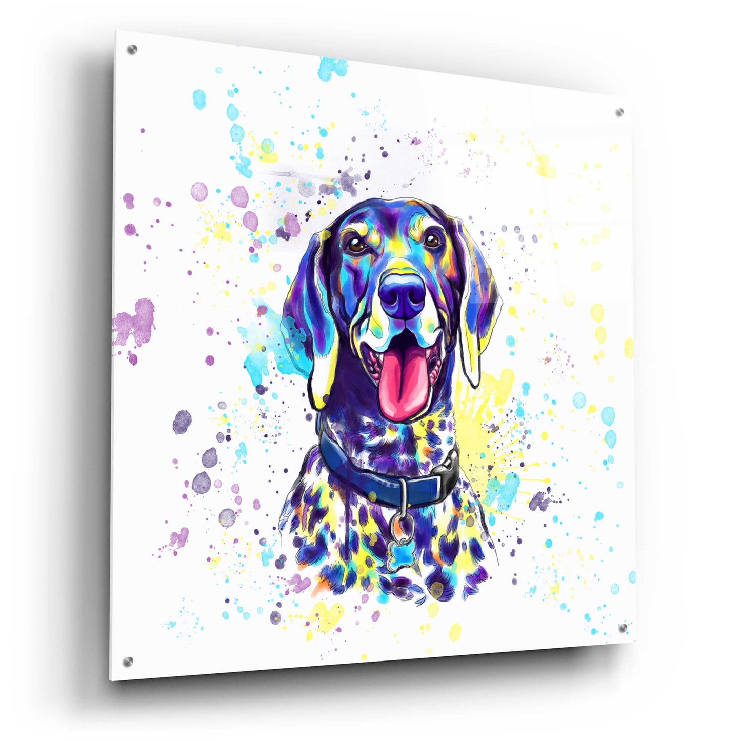 Epic Art 'Colorful Watercolor German Shorthaired Pointer 2' by Furbaby Affiliates, Acrylic Glass Wall Art,36x36