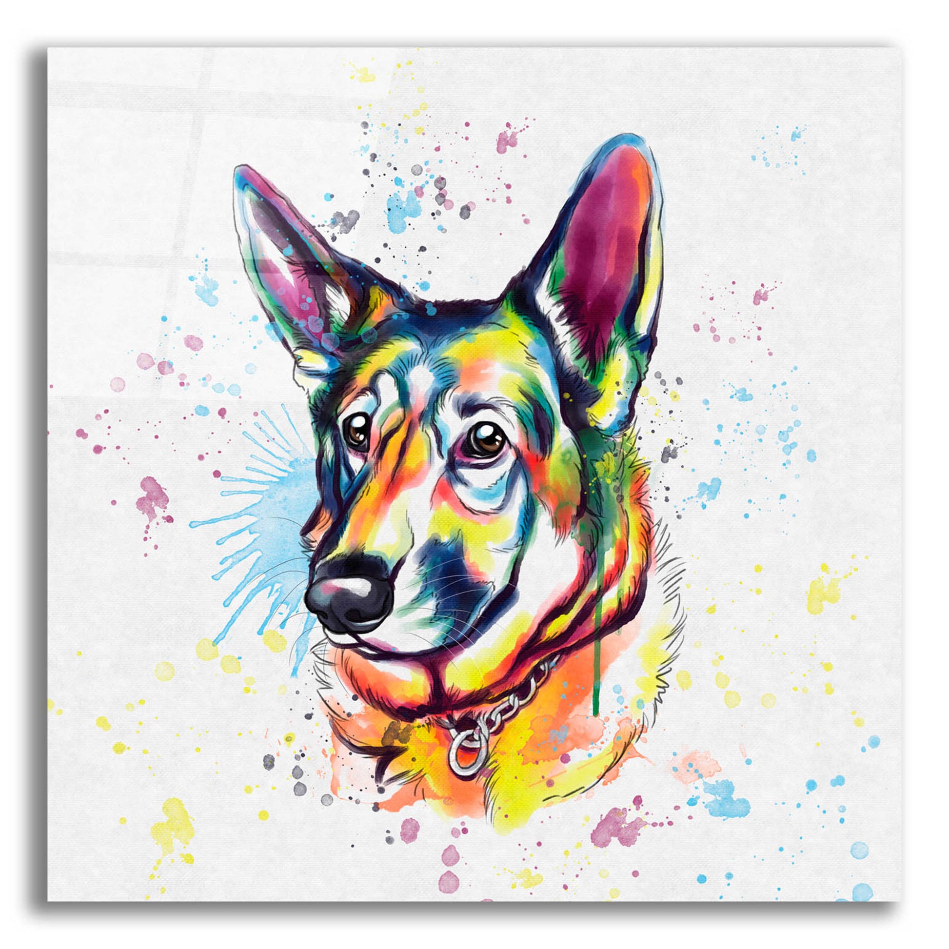 Epic Art 'Colorful Watercolor German Shepherd' by Furbaby Affiliates, Acrylic Glass Wall Art,12x12