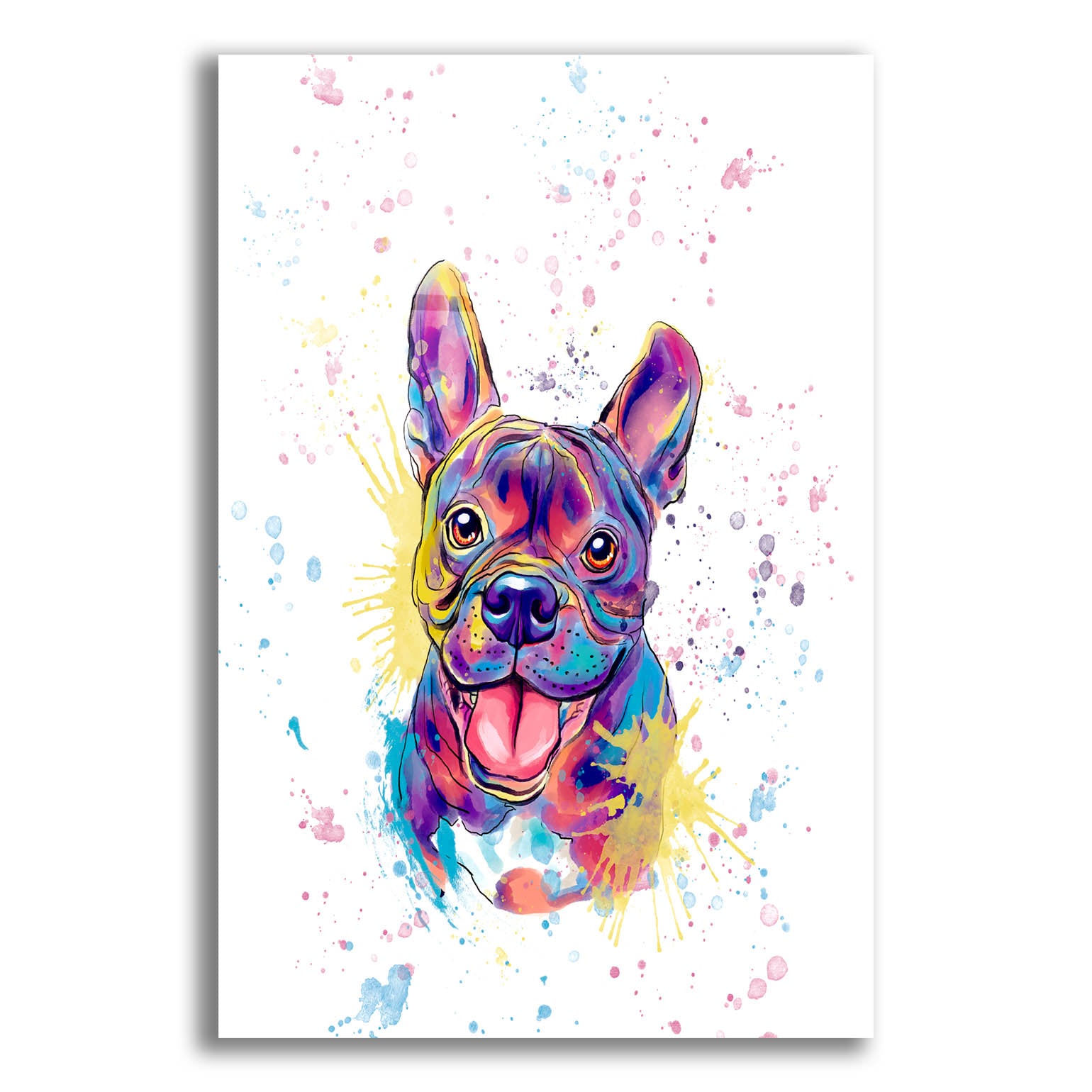 Epic Art 'Colorful Watercolor French Bulldog' by Furbaby Affiliates, Acrylic Glass Wall Art,12x16