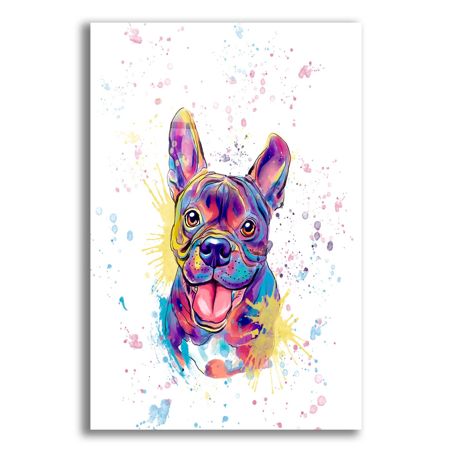 Epic Art 'Colorful Watercolor French Bulldog' by Furbaby Affiliates, Acrylic Glass Wall Art,16x24