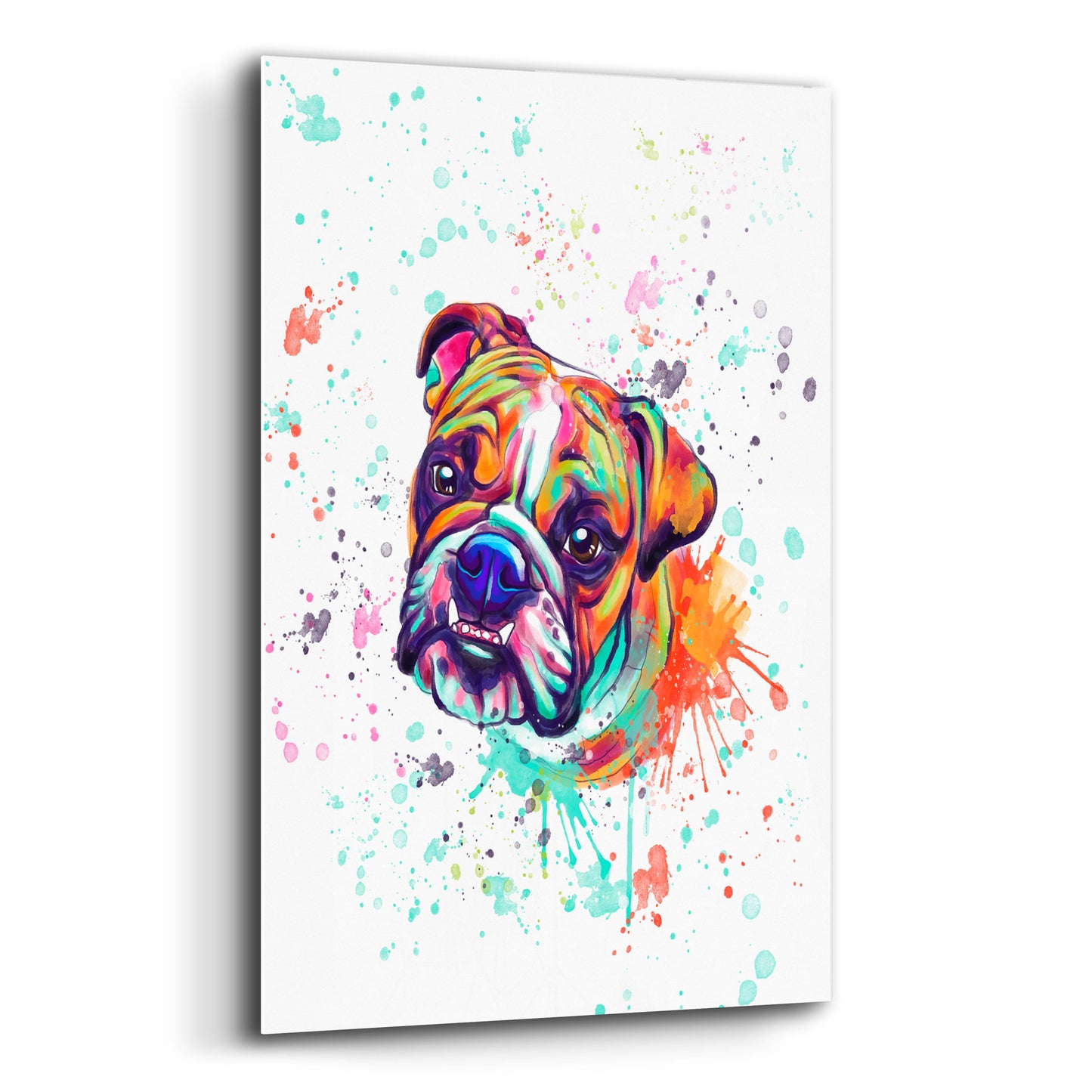 Epic Art 'Colorful Watercolor English Bulldog' by Furbaby Affiliates, Acrylic Glass Wall Art,12x16