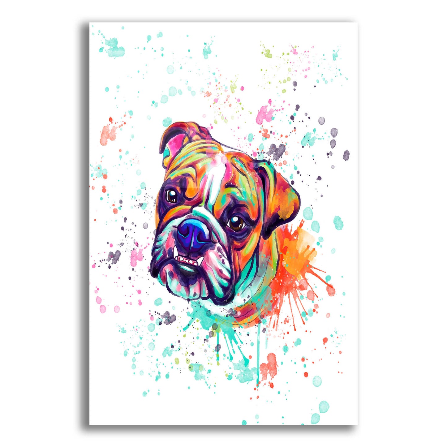 Epic Art 'Colorful Watercolor English Bulldog' by Furbaby Affiliates, Acrylic Glass Wall Art,12x16