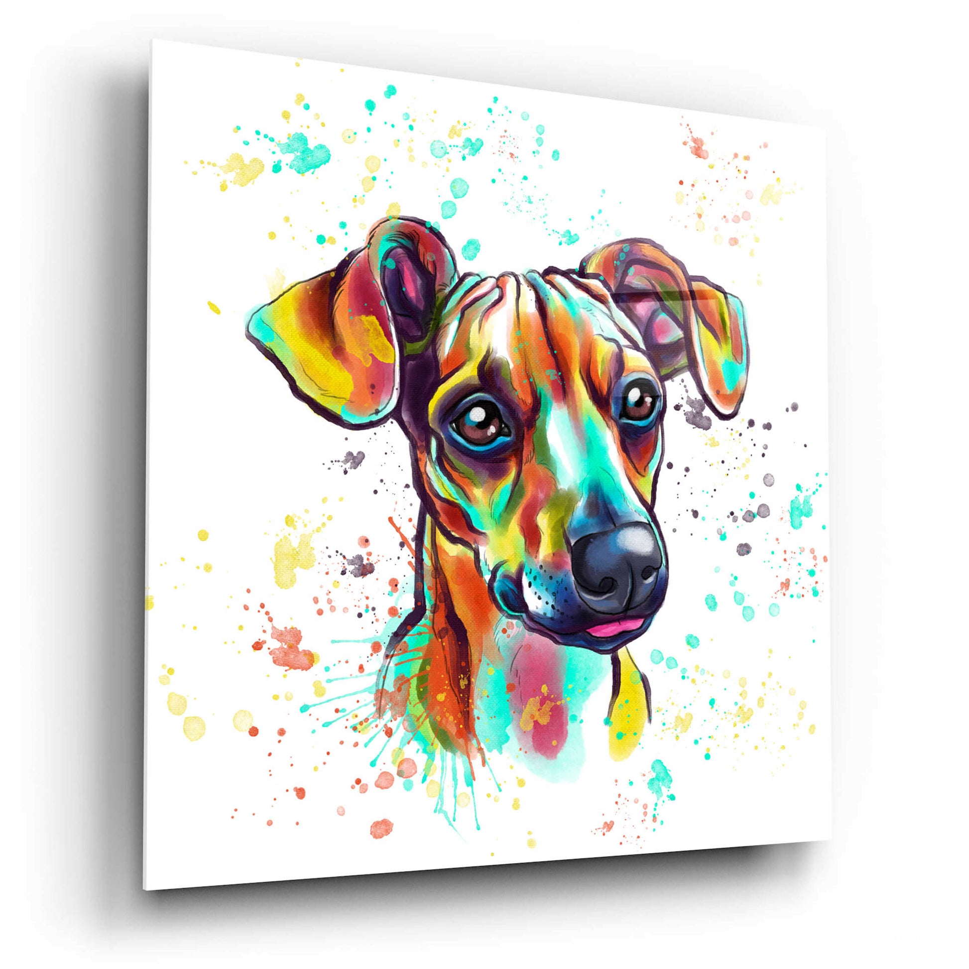 Epic Art 'Colorful Watercolor Dachshund' by Furbaby Affiliates, Acrylic Glass Wall Art,12x12