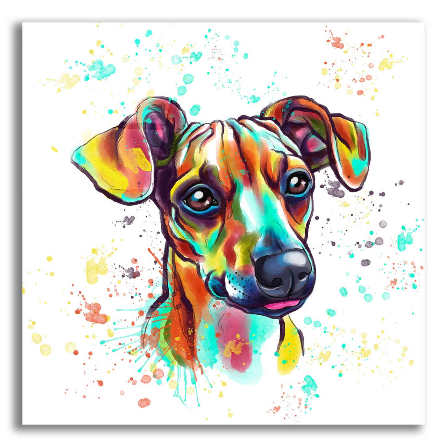 Epic Art 'Colorful Watercolor Dachshund' by Furbaby Affiliates, Acrylic Glass Wall Art,12x12