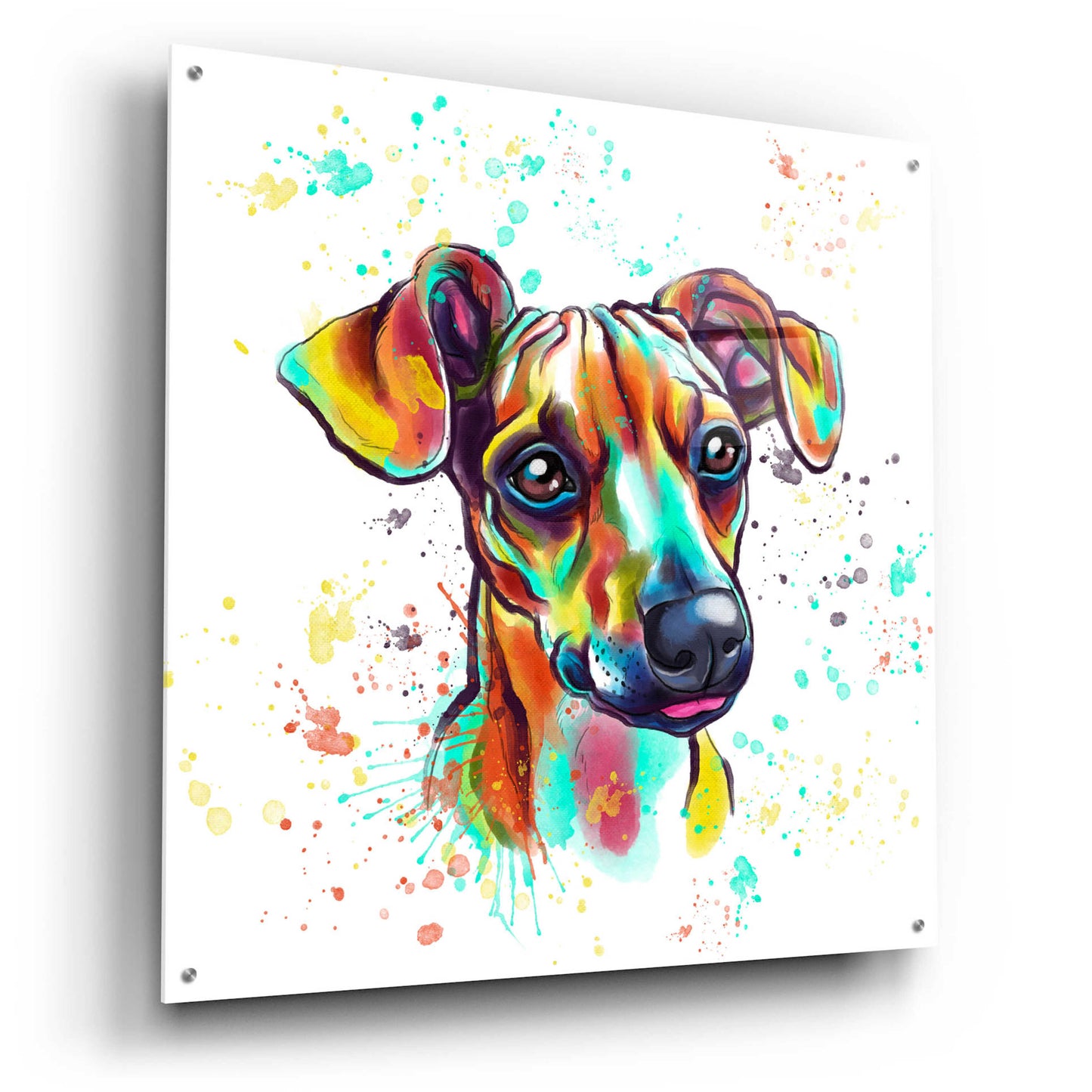 Epic Art 'Colorful Watercolor Dachshund' by Furbaby Affiliates, Acrylic Glass Wall Art,36x36