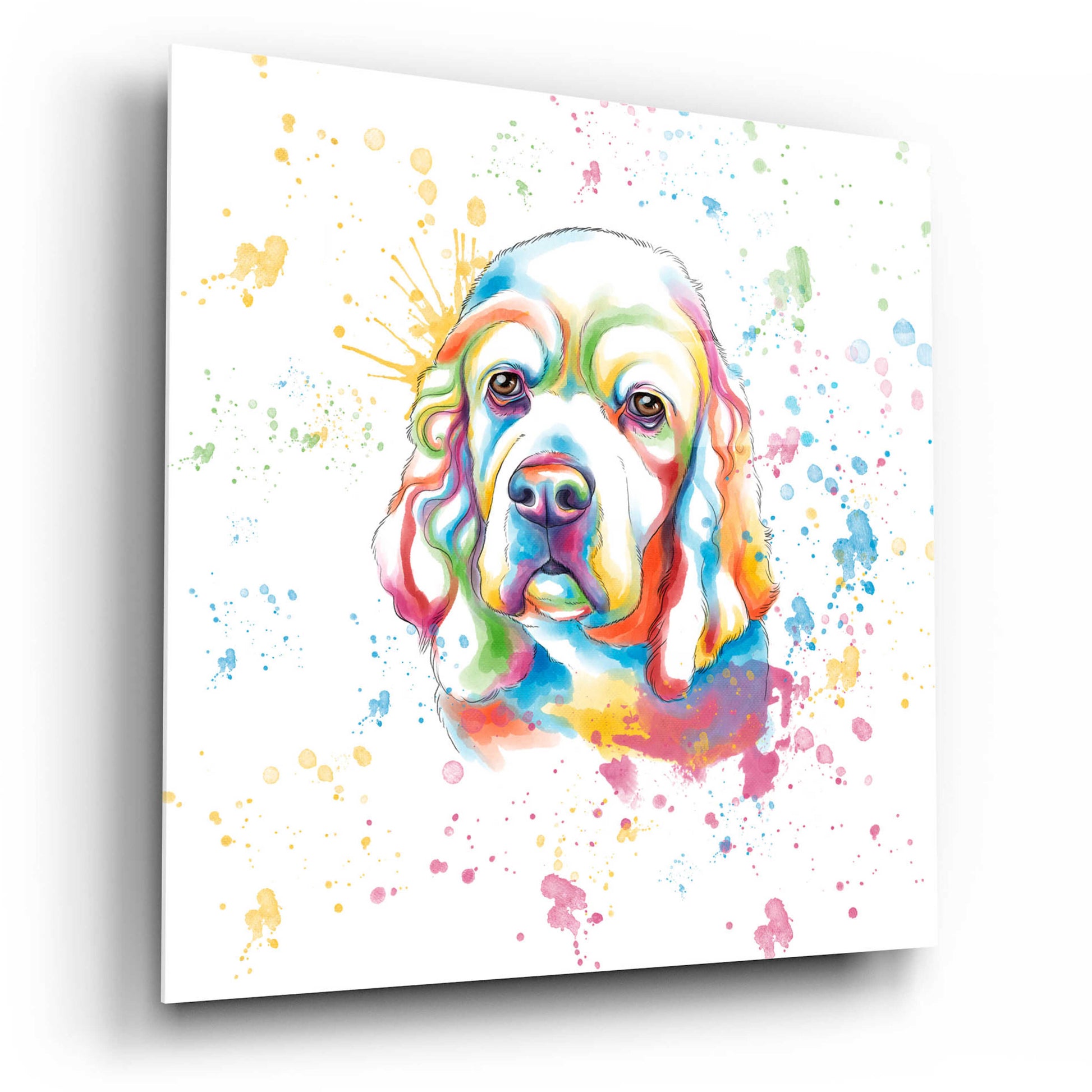 Epic Art 'Colorful Watercolor Cocker Spaniel' by Furbaby Affiliates, Acrylic Glass Wall Art,12x12