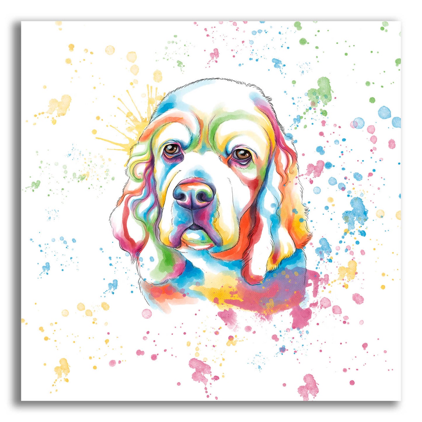 Epic Art 'Colorful Watercolor Cocker Spaniel' by Furbaby Affiliates, Acrylic Glass Wall Art,12x12