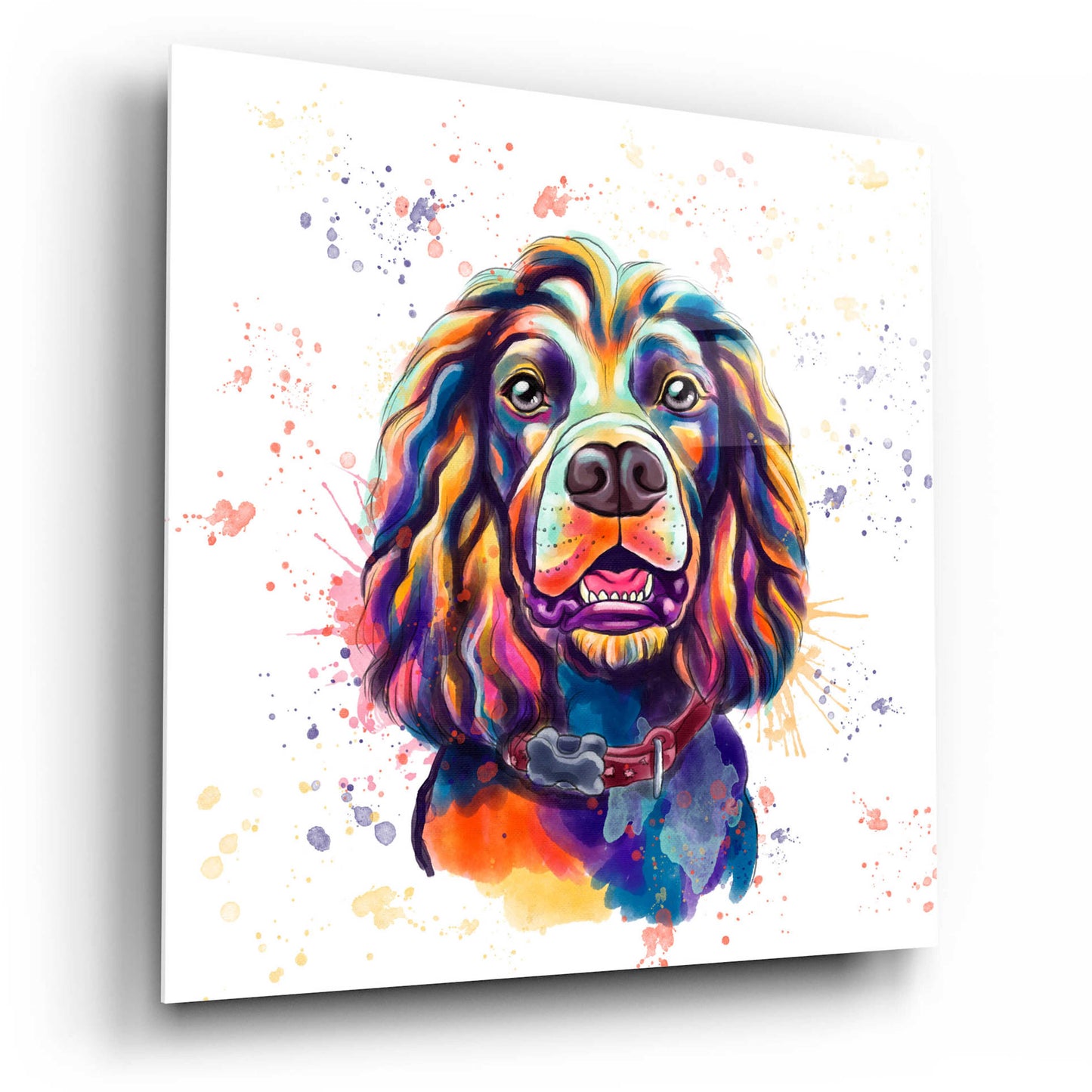 Epic Art 'Colorful Watercolor Cocker Spaniel 2' by Furbaby Affiliates, Acrylic Glass Wall Art,12x12