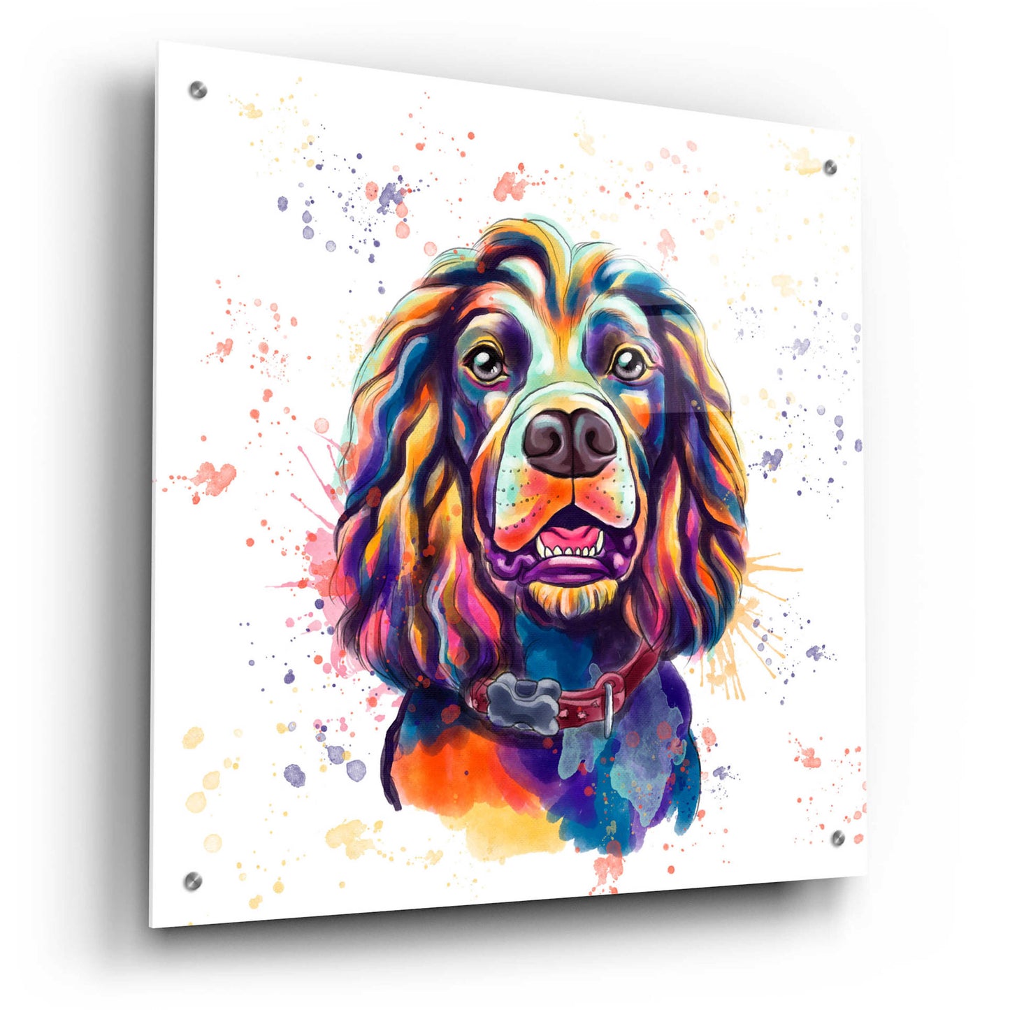 Epic Art 'Colorful Watercolor Cocker Spaniel 2' by Furbaby Affiliates, Acrylic Glass Wall Art,24x24