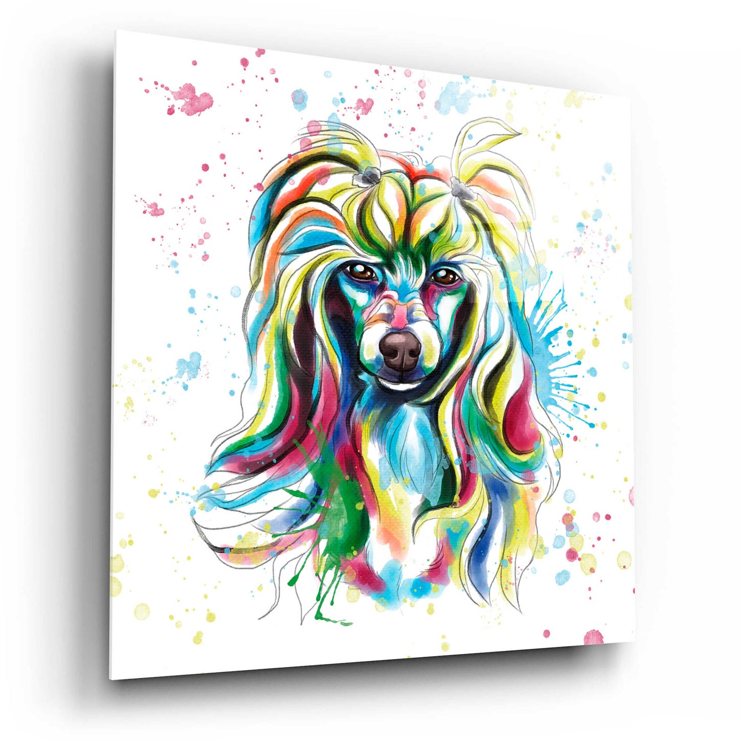 Epic Art 'Colorful Watercolor Chinese Crested' by Furbaby Affiliates, Acrylic Glass Wall Art,12x12