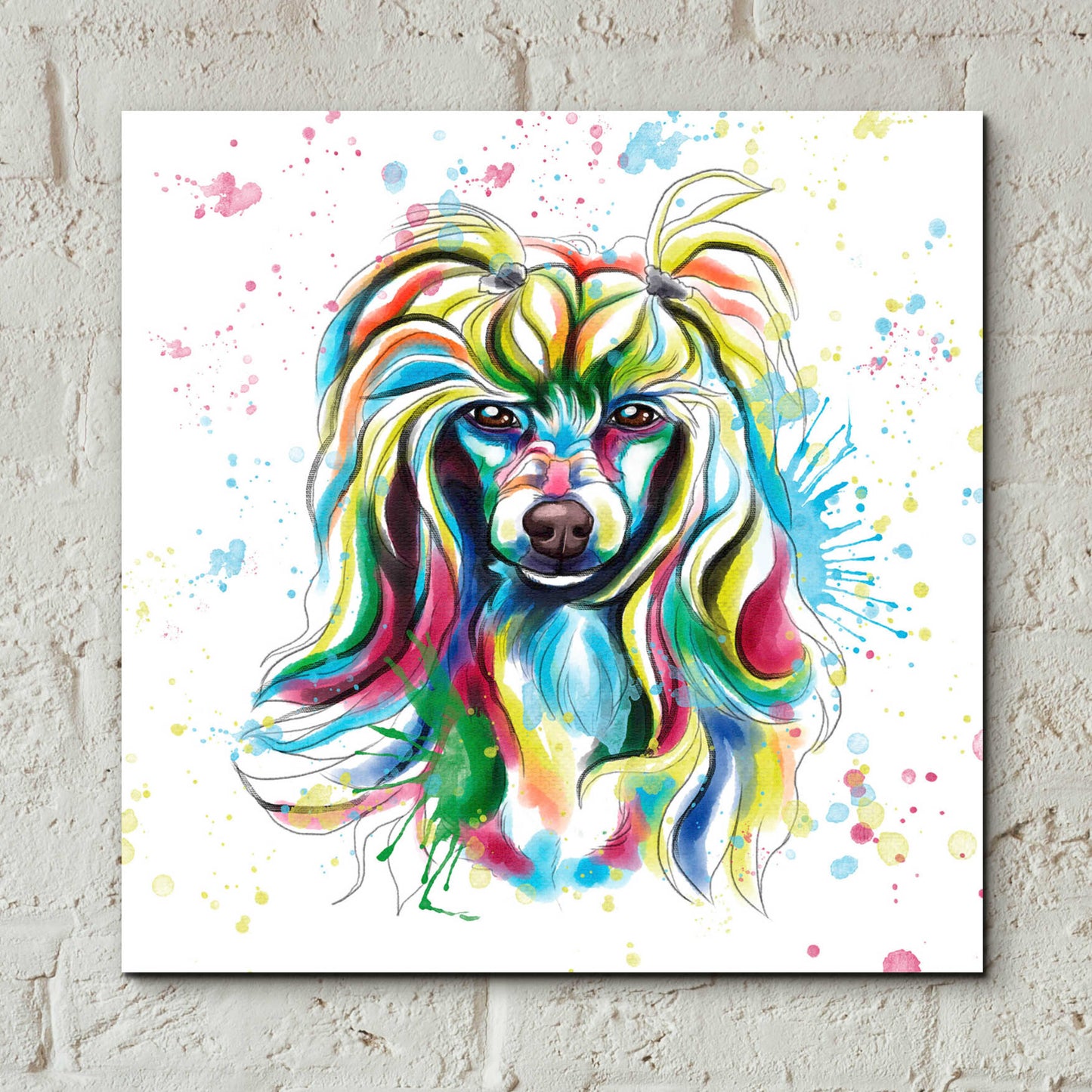 Epic Art 'Colorful Watercolor Chinese Crested' by Furbaby Affiliates, Acrylic Glass Wall Art,12x12