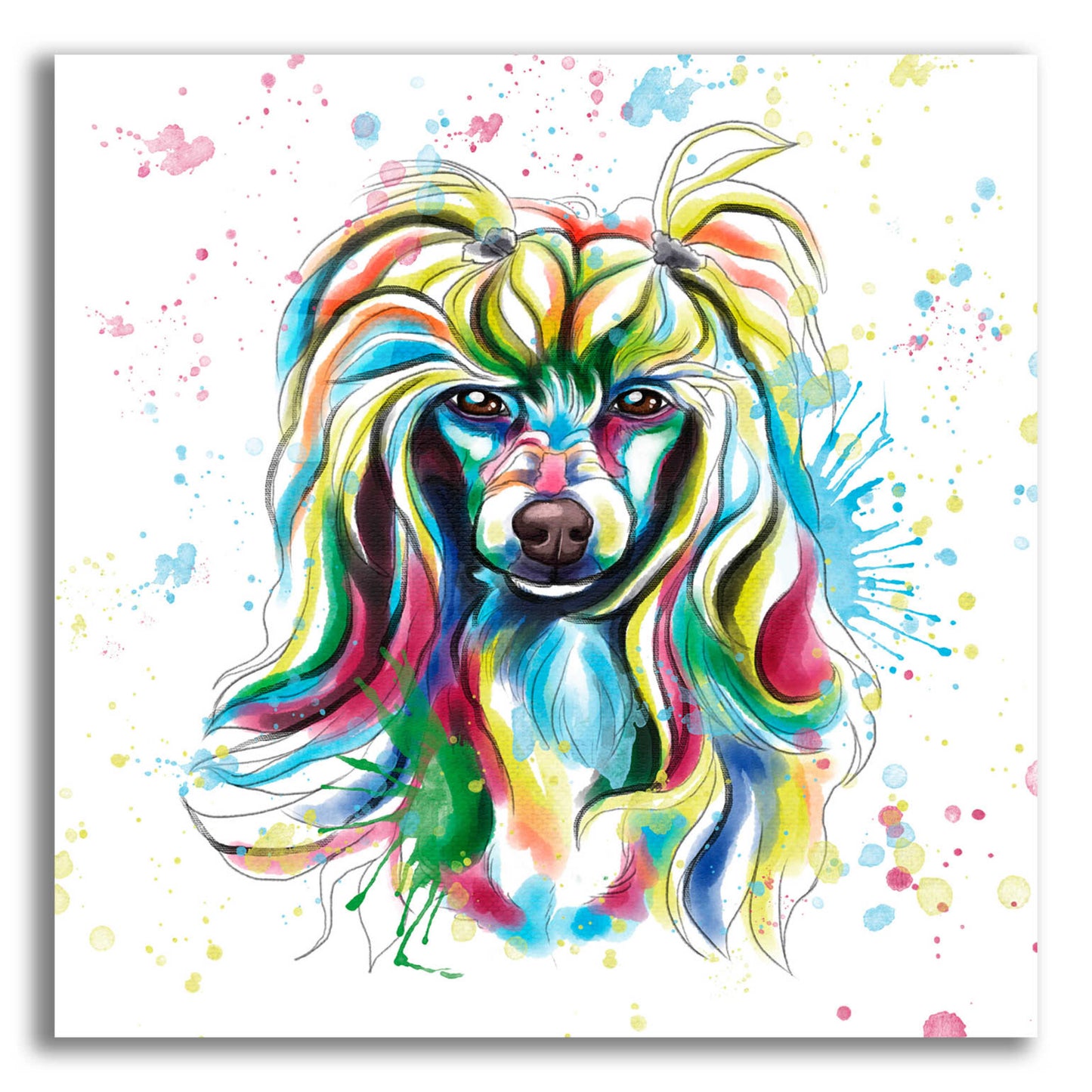 Epic Art 'Colorful Watercolor Chinese Crested' by Furbaby Affiliates, Acrylic Glass Wall Art,12x12