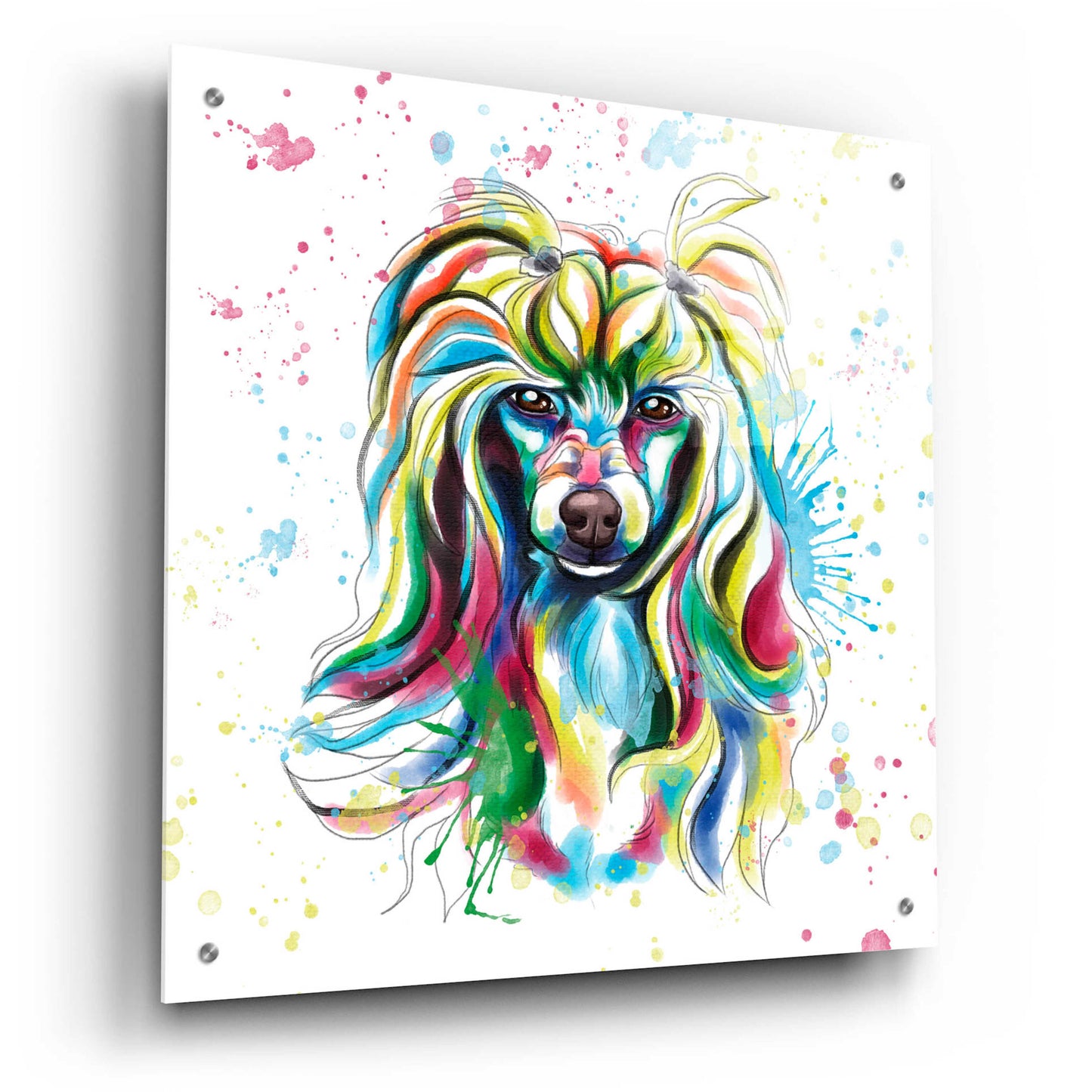 Epic Art 'Colorful Watercolor Chinese Crested' by Furbaby Affiliates, Acrylic Glass Wall Art,24x24