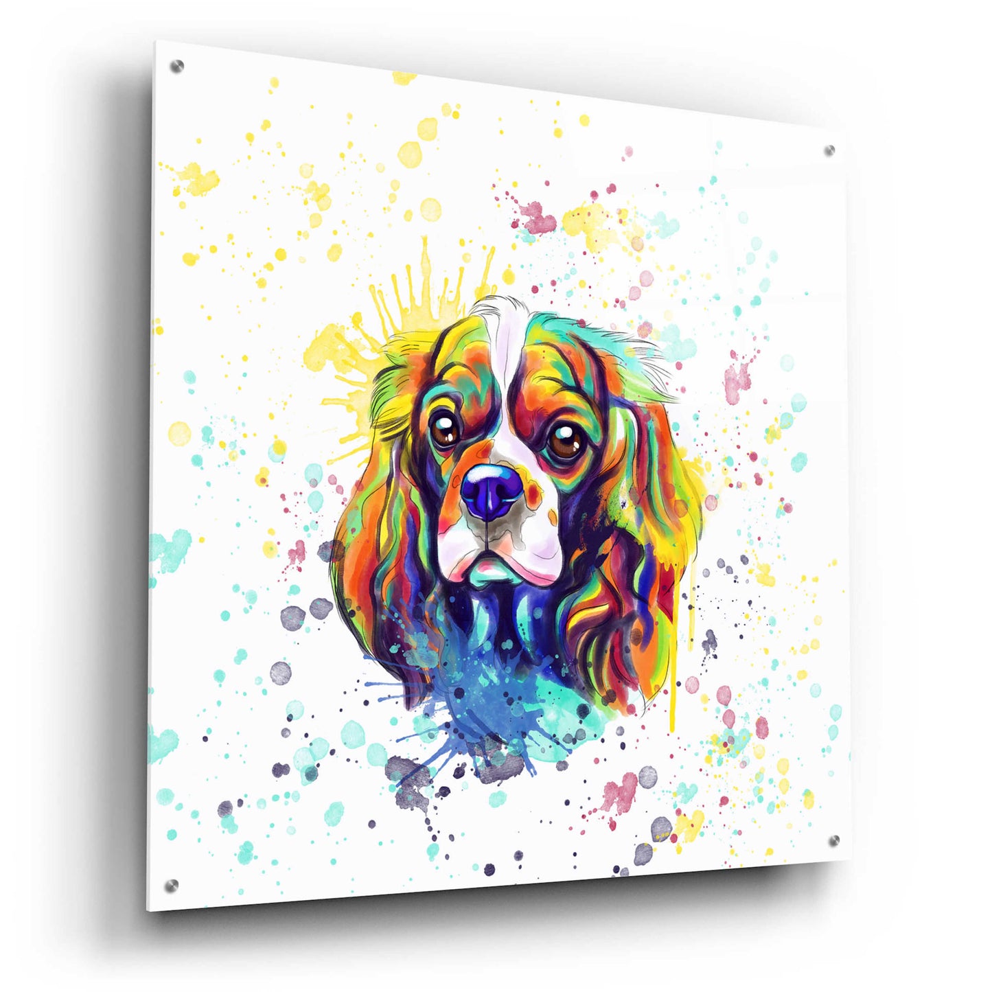 Epic Art 'Colorful Watercolor Cavalier King Charles Spaniel' by Furbaby Affiliates, Acrylic Glass Wall Art,36x36