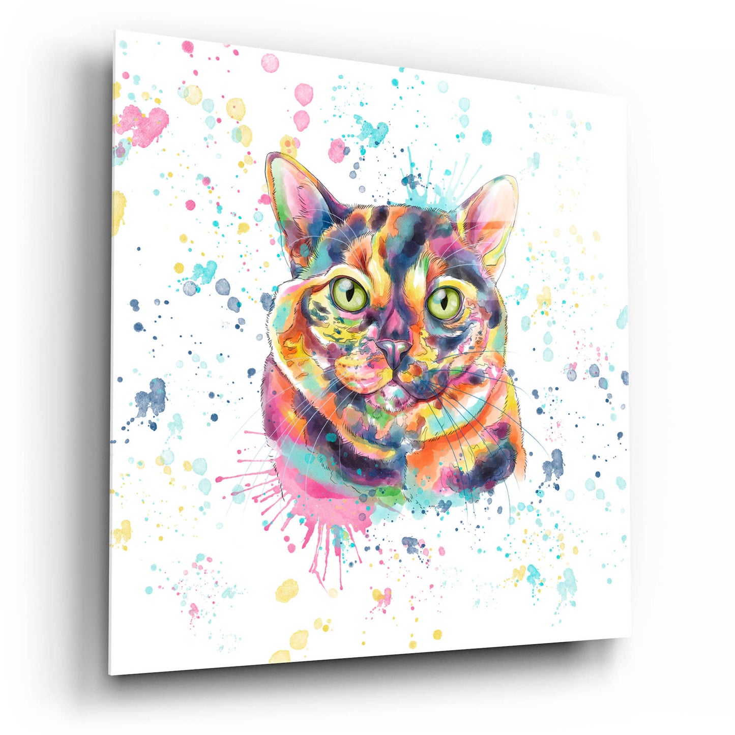 Epic Art 'Colorful Watercolor Calico Cat' by Furbaby Affiliates, Acrylic Glass Wall Art,12x12