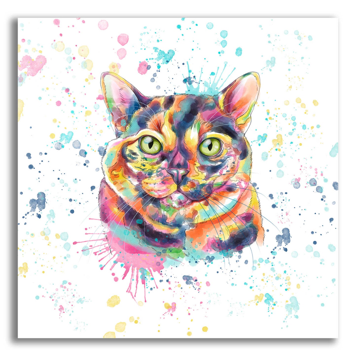 Epic Art 'Colorful Watercolor Calico Cat' by Furbaby Affiliates, Acrylic Glass Wall Art,12x12