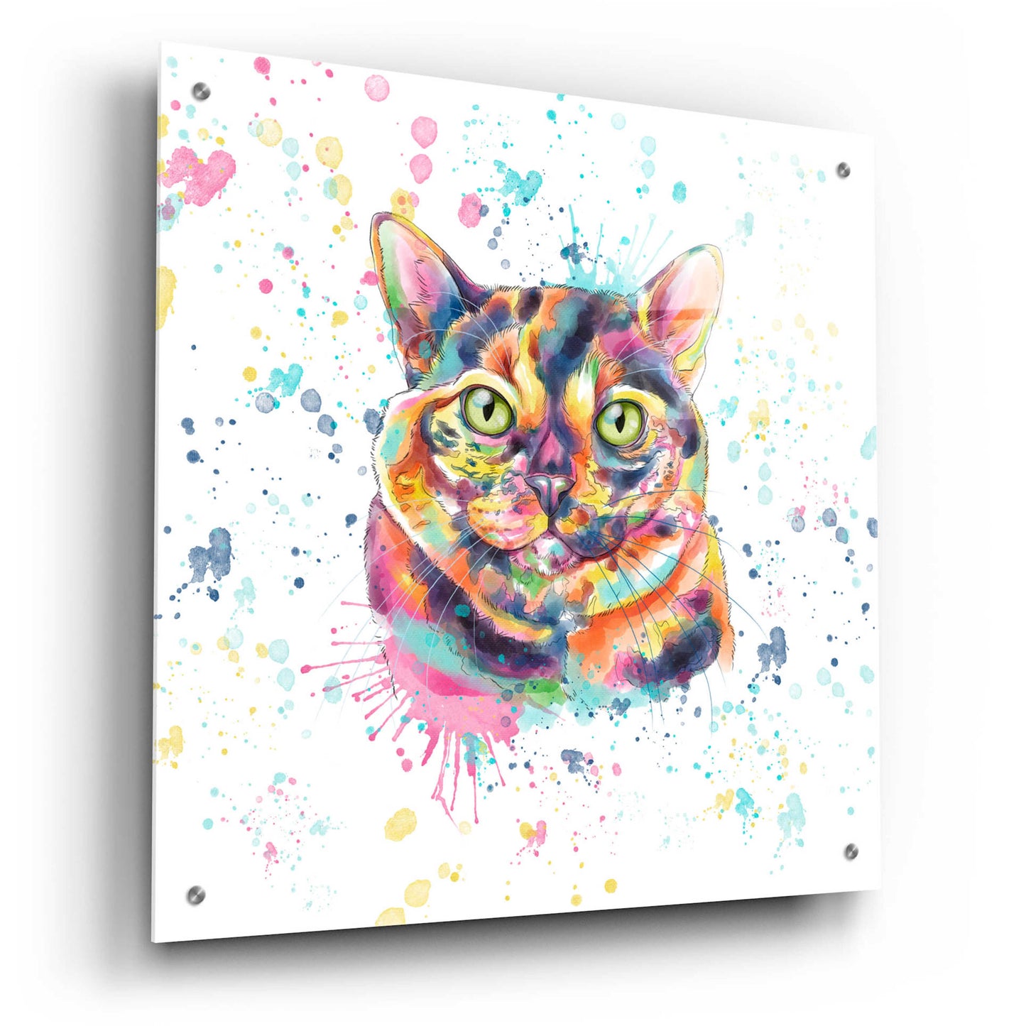 Epic Art 'Colorful Watercolor Calico Cat' by Furbaby Affiliates, Acrylic Glass Wall Art,24x24