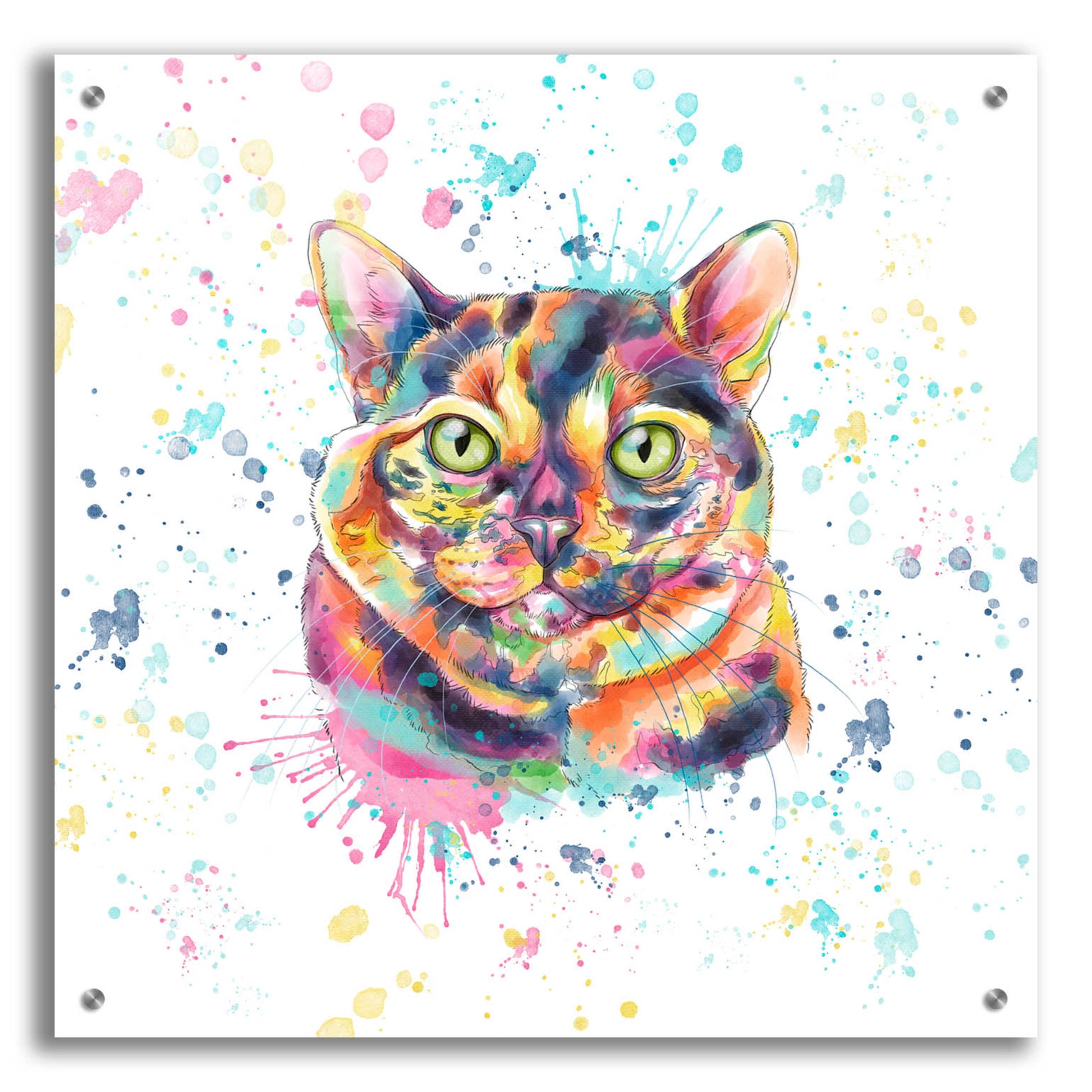 Epic Art 'Colorful Watercolor Calico Cat' by Furbaby Affiliates, Acrylic Glass Wall Art,24x24