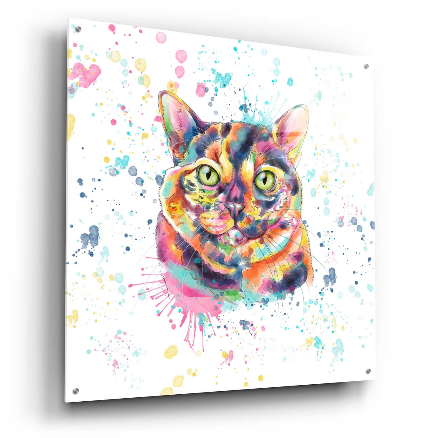 Epic Art 'Colorful Watercolor Calico Cat' by Furbaby Affiliates, Acrylic Glass Wall Art,36x36