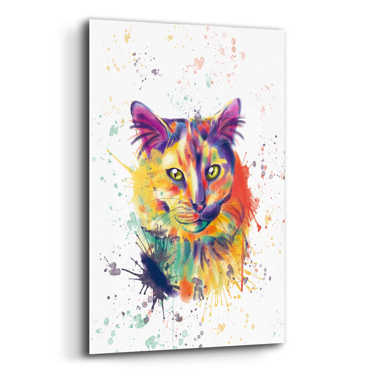 Epic Art 'Colorful Watercolor Calico Cat 2' by Furbaby Affiliates, Acrylic Glass Wall Art,12x16