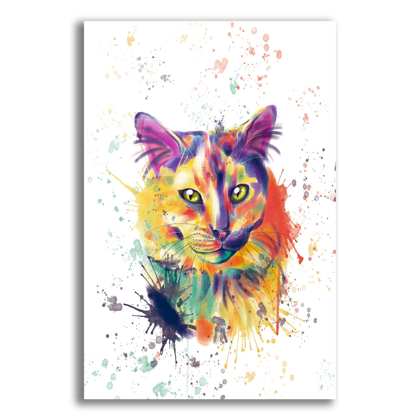 Epic Art 'Colorful Watercolor Calico Cat 2' by Furbaby Affiliates, Acrylic Glass Wall Art,12x16