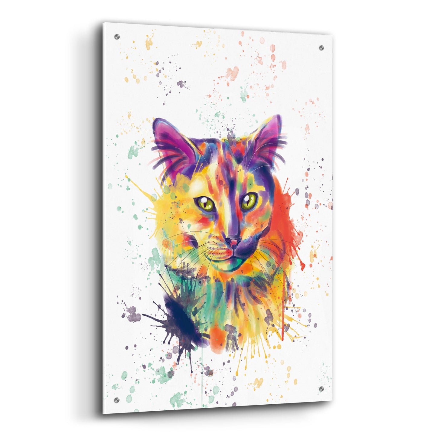 Epic Art 'Colorful Watercolor Calico Cat 2' by Furbaby Affiliates, Acrylic Glass Wall Art,24x36