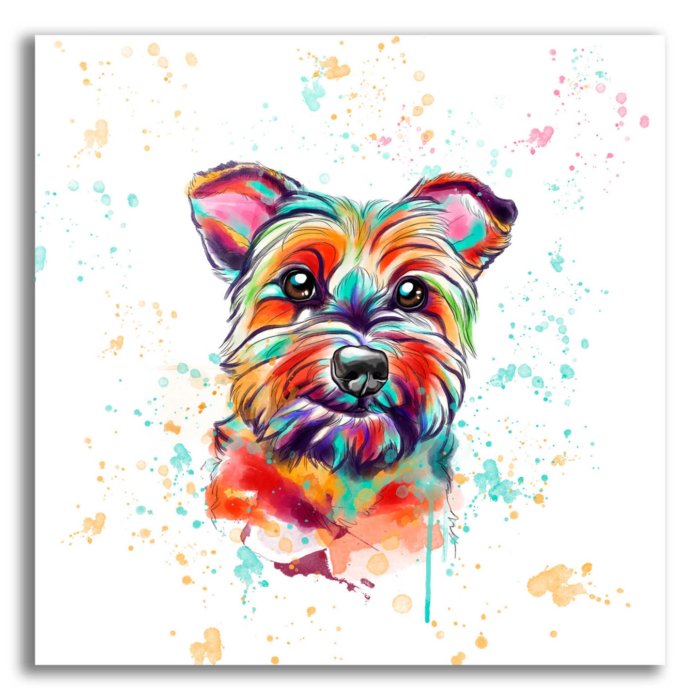 Epic Art 'Colorful Watercolor Cairn Terrier' by Furbaby Affiliates, Acrylic Glass Wall Art,12x12