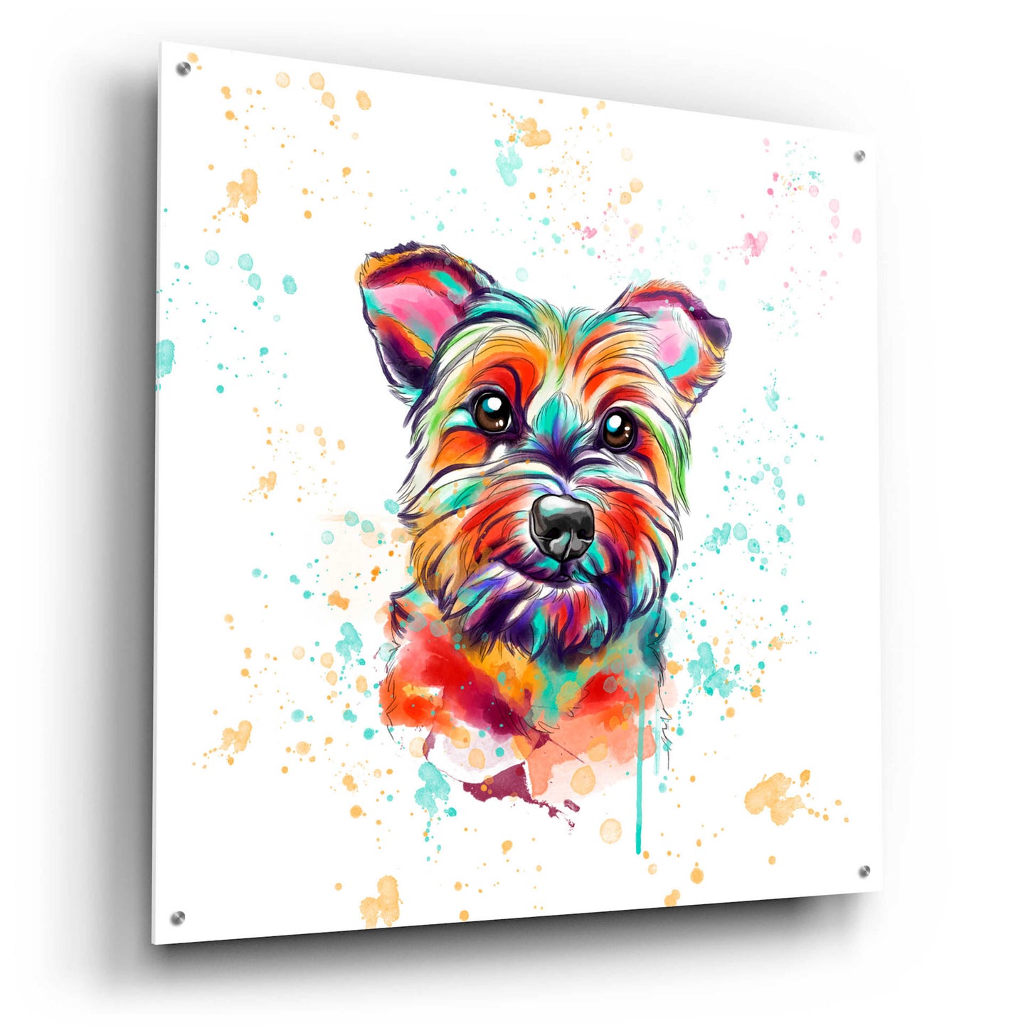 Epic Art 'Colorful Watercolor Cairn Terrier' by Furbaby Affiliates, Acrylic Glass Wall Art,36x36