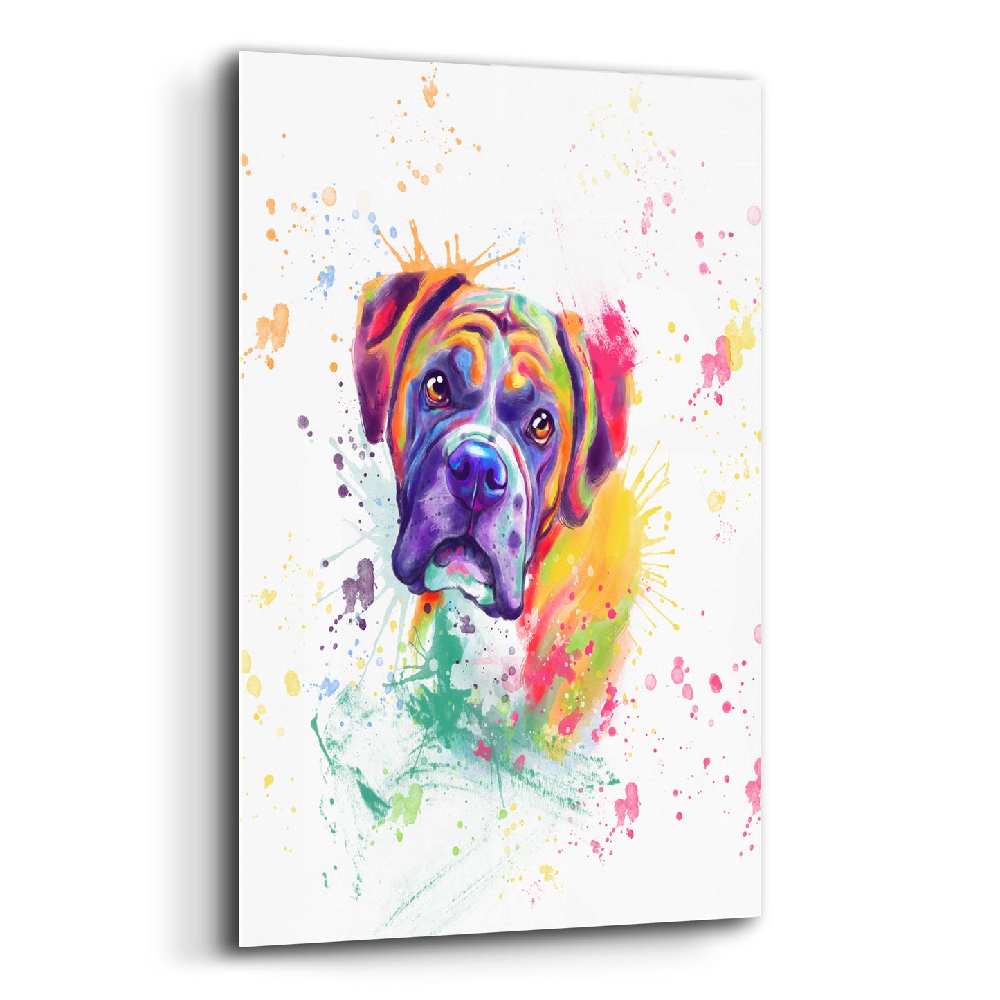 Epic Art 'Colorful Watercolor Boxer' by Furbaby Affiliates, Acrylic Glass Wall Art,12x16