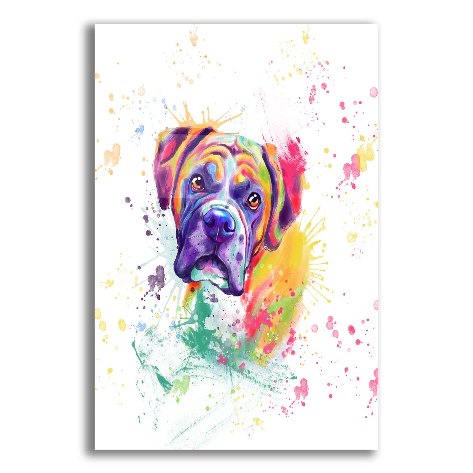 Epic Art 'Colorful Watercolor Boxer' by Furbaby Affiliates, Acrylic Glass Wall Art,12x16