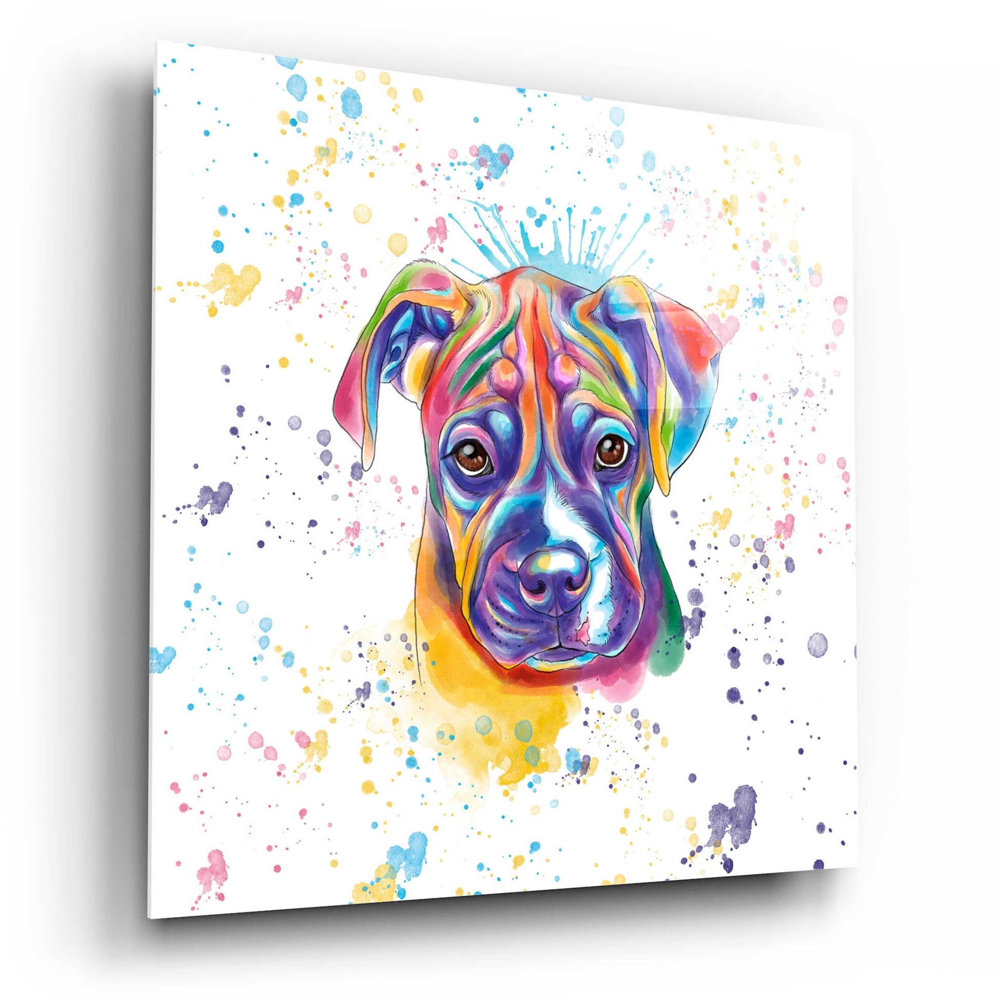 Epic Art 'Colorful Watercolor Boxer 2' by Furbaby Affiliates, Acrylic Glass Wall Art,12x12