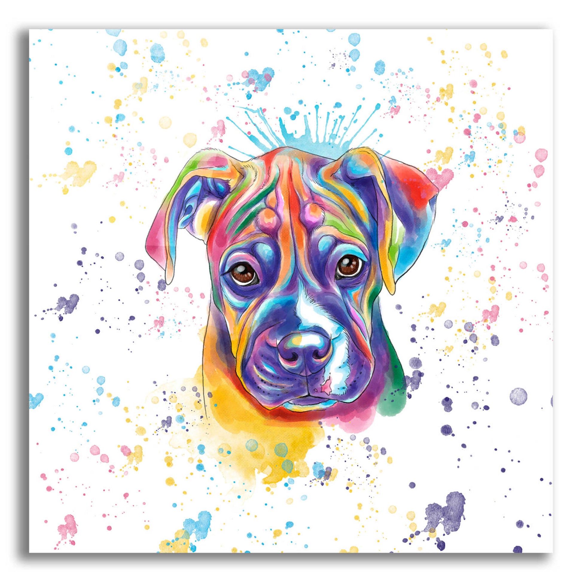 Epic Art 'Colorful Watercolor Boxer 2' by Furbaby Affiliates, Acrylic Glass Wall Art,12x12