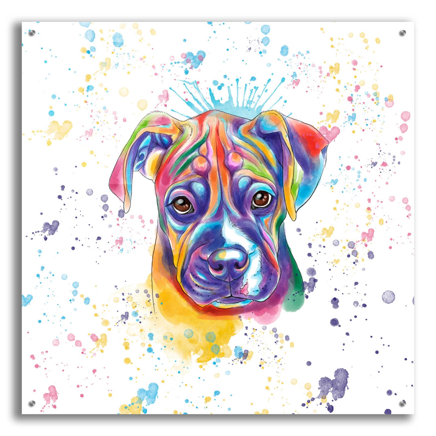 Epic Art 'Colorful Watercolor Boxer 2' by Furbaby Affiliates, Acrylic Glass Wall Art,36x36