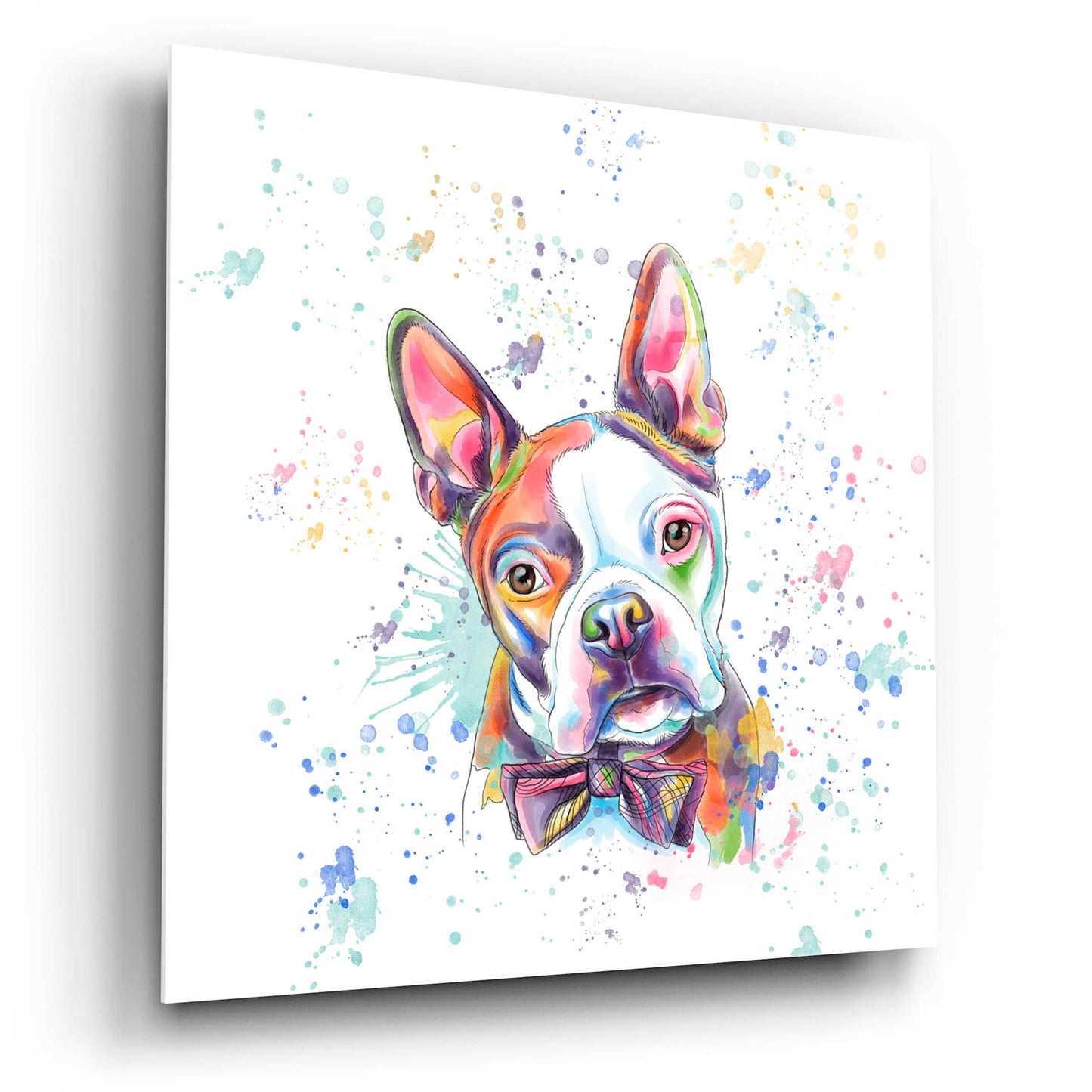 Epic Art 'Colorful Watercolor Boston Terrier' by Furbaby Affiliates, Acrylic Glass Wall Art,12x12