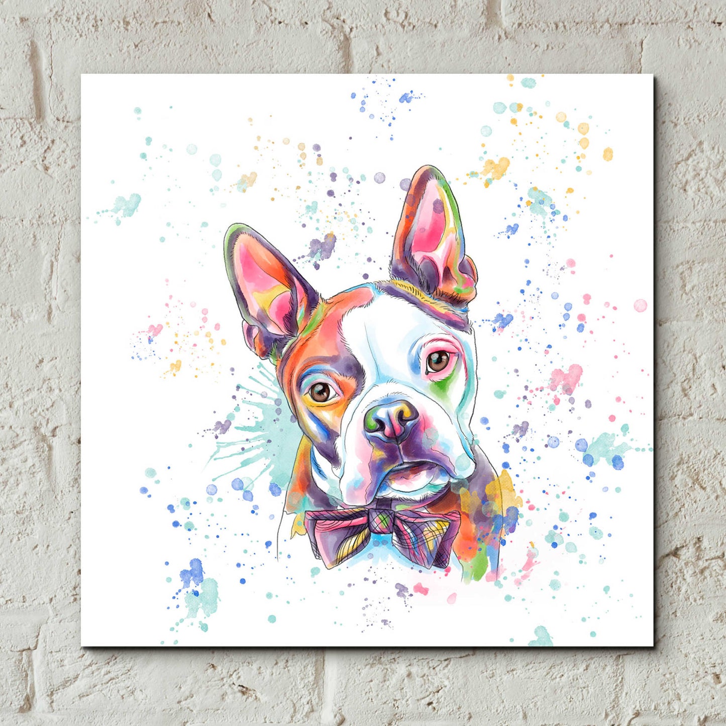 Epic Art 'Colorful Watercolor Boston Terrier' by Furbaby Affiliates, Acrylic Glass Wall Art,12x12