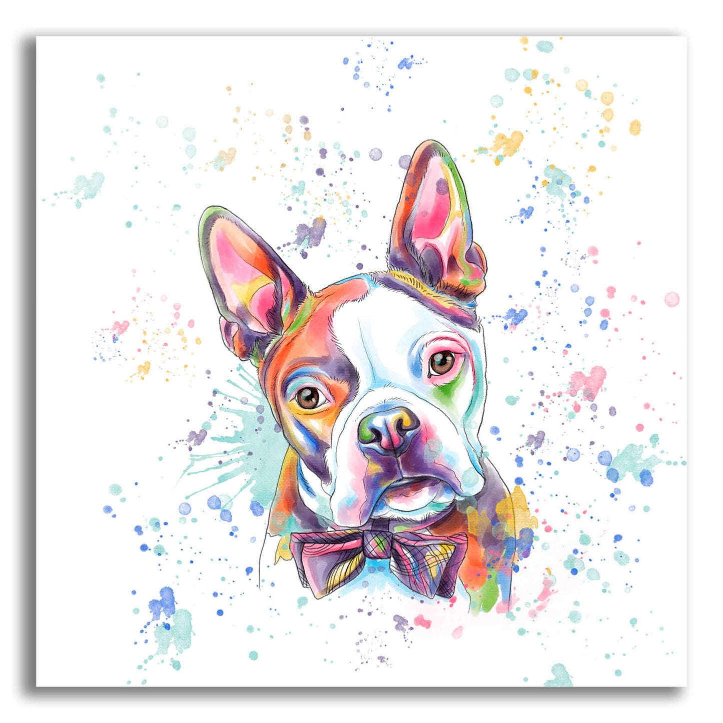 Epic Art 'Colorful Watercolor Boston Terrier' by Furbaby Affiliates, Acrylic Glass Wall Art,12x12