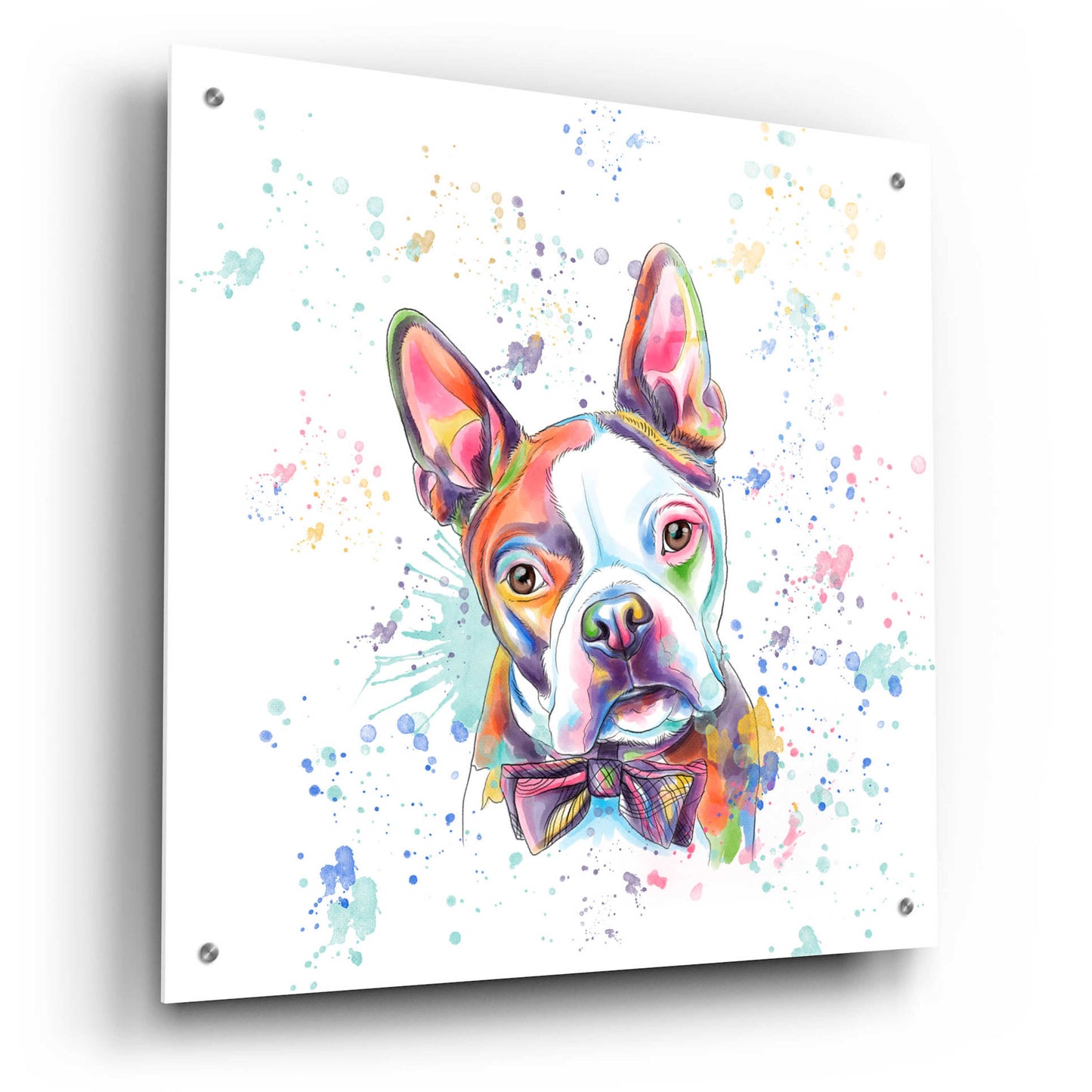 Epic Art 'Colorful Watercolor Boston Terrier' by Furbaby Affiliates, Acrylic Glass Wall Art,24x24