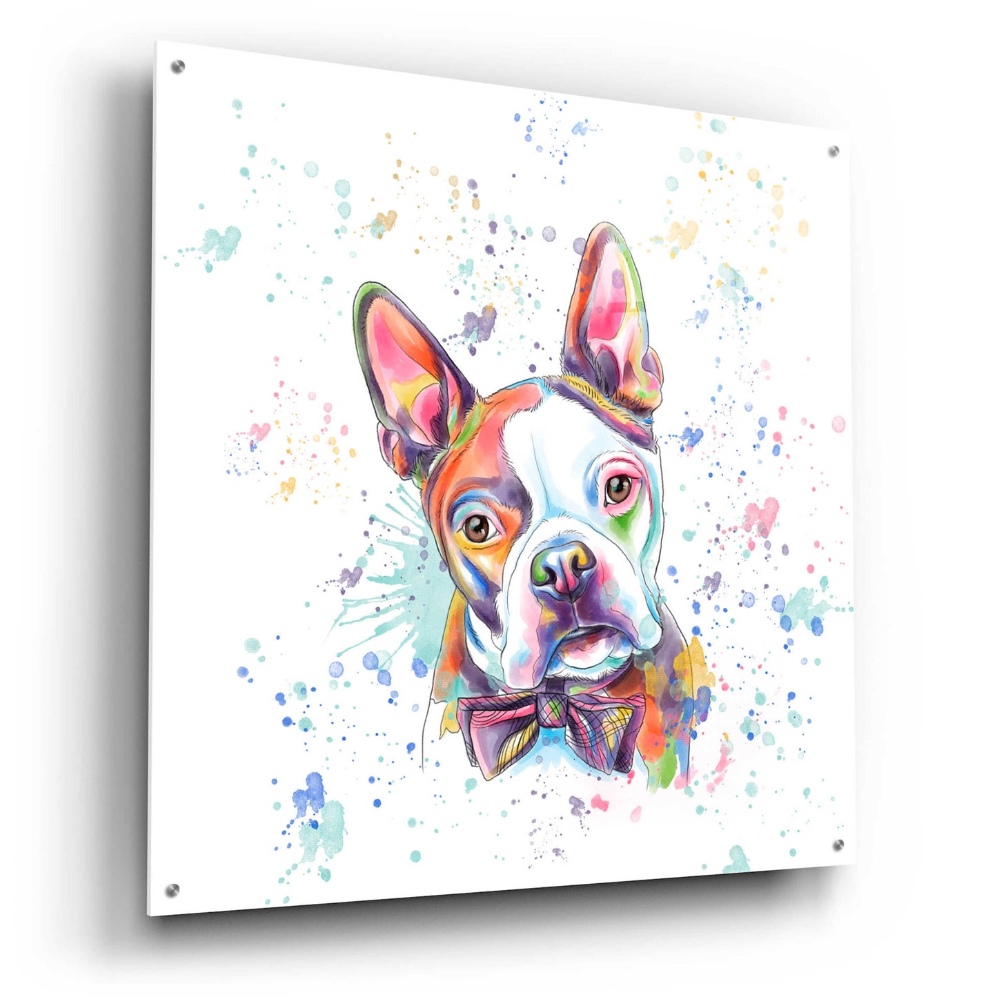 Epic Art 'Colorful Watercolor Boston Terrier' by Furbaby Affiliates, Acrylic Glass Wall Art,36x36