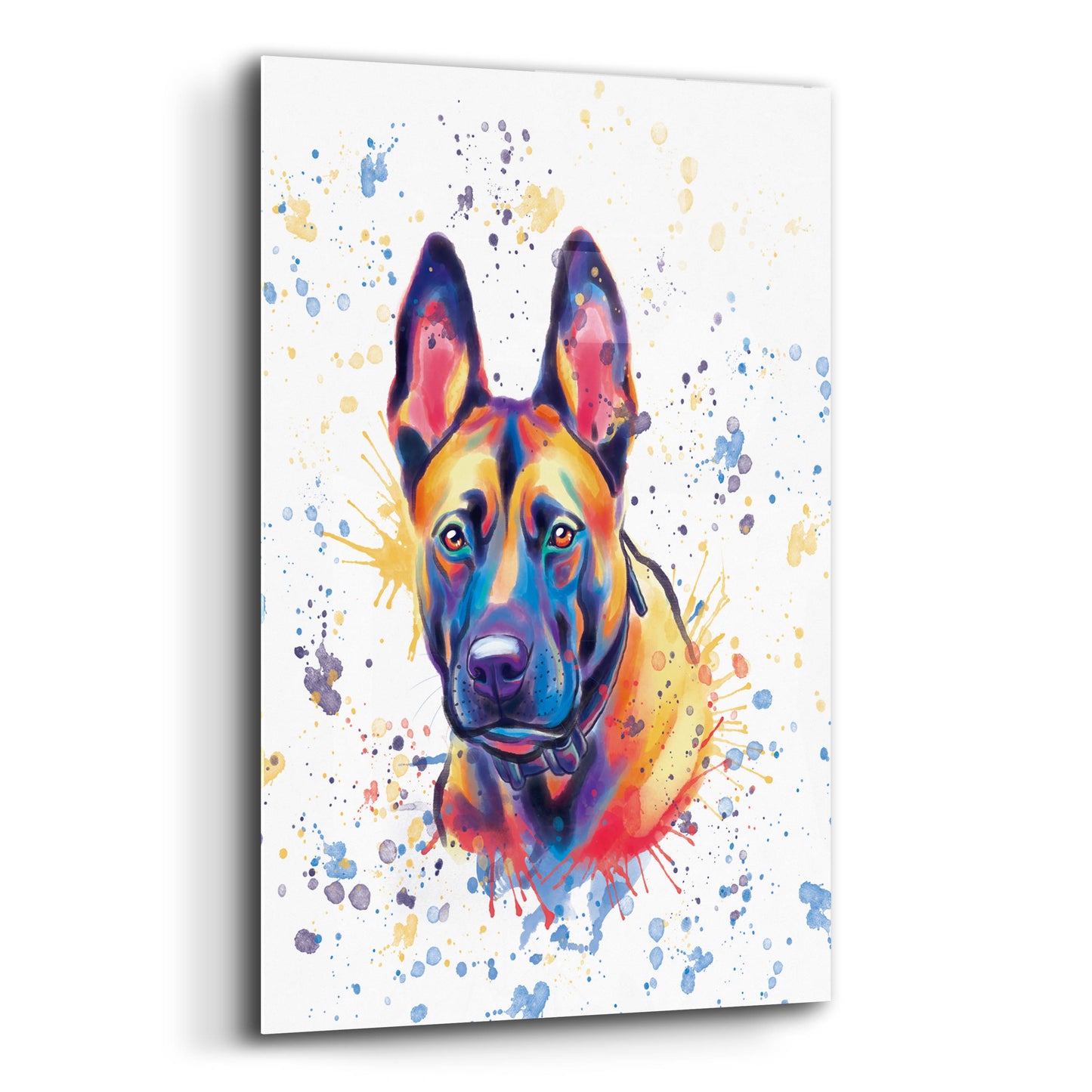 Epic Art 'Colorful Watercolor Belgian Malinois' by Furbaby Affiliates, Acrylic Glass Wall Art,12x16