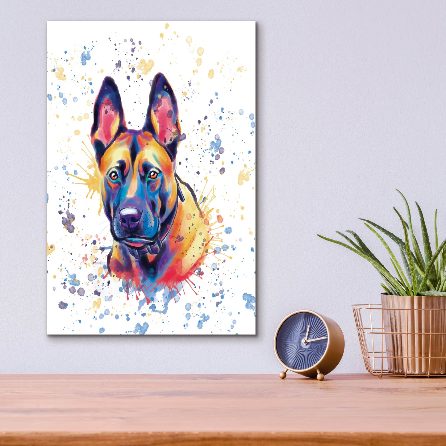 Epic Art 'Colorful Watercolor Belgian Malinois' by Furbaby Affiliates, Acrylic Glass Wall Art,12x16