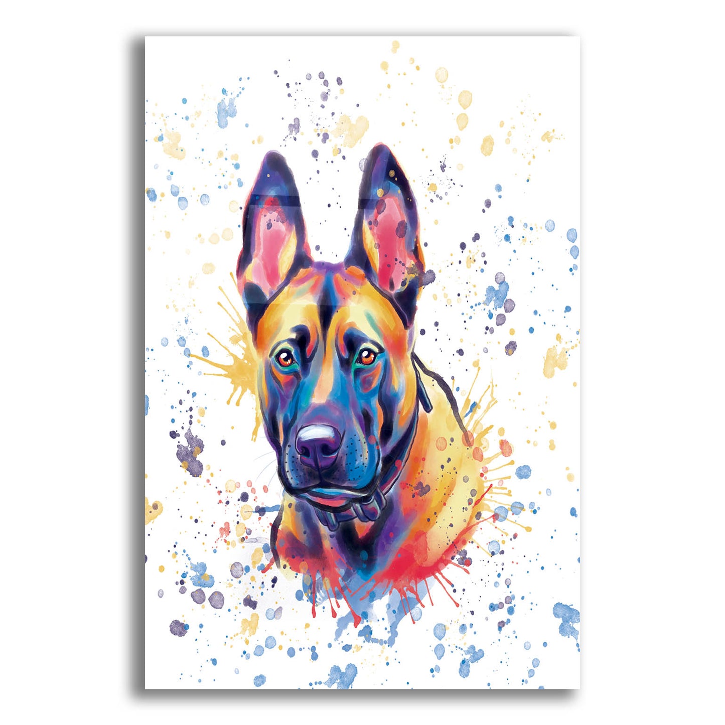 Epic Art 'Colorful Watercolor Belgian Malinois' by Furbaby Affiliates, Acrylic Glass Wall Art,12x16