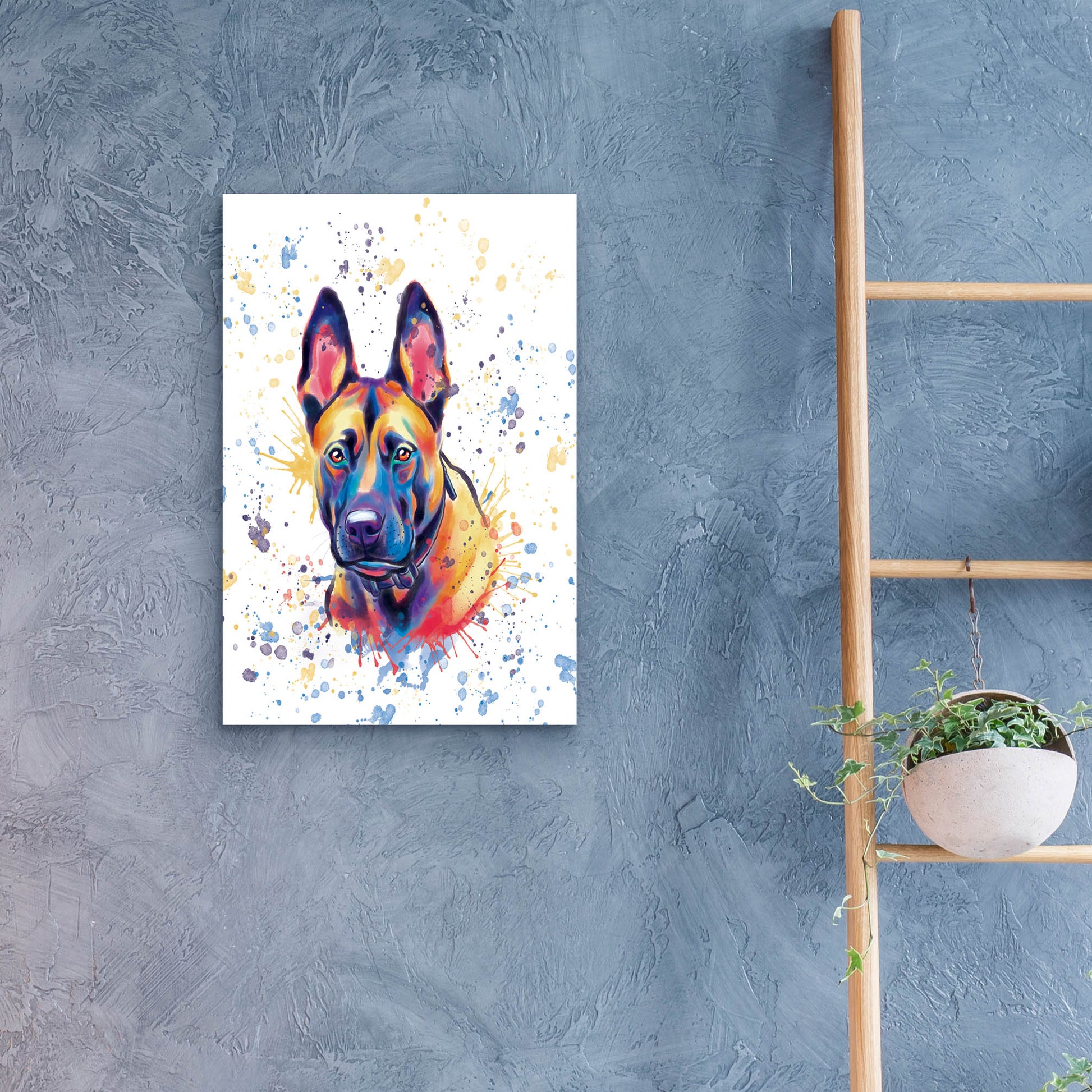 Epic Art 'Colorful Watercolor Belgian Malinois' by Furbaby Affiliates, Acrylic Glass Wall Art,16x24