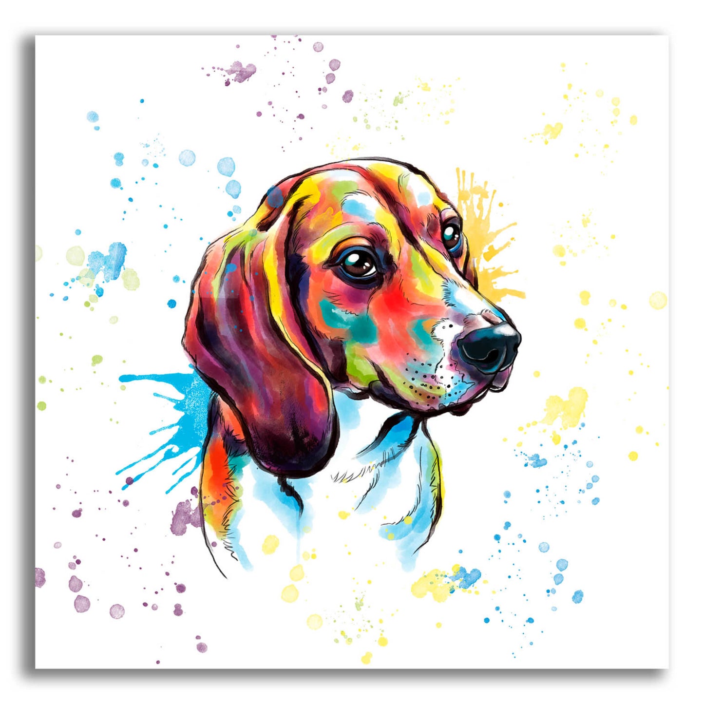 Epic Art 'Colorful Watercolor Beagle' by Furbaby Affiliates, Acrylic Glass Wall Art,12x12