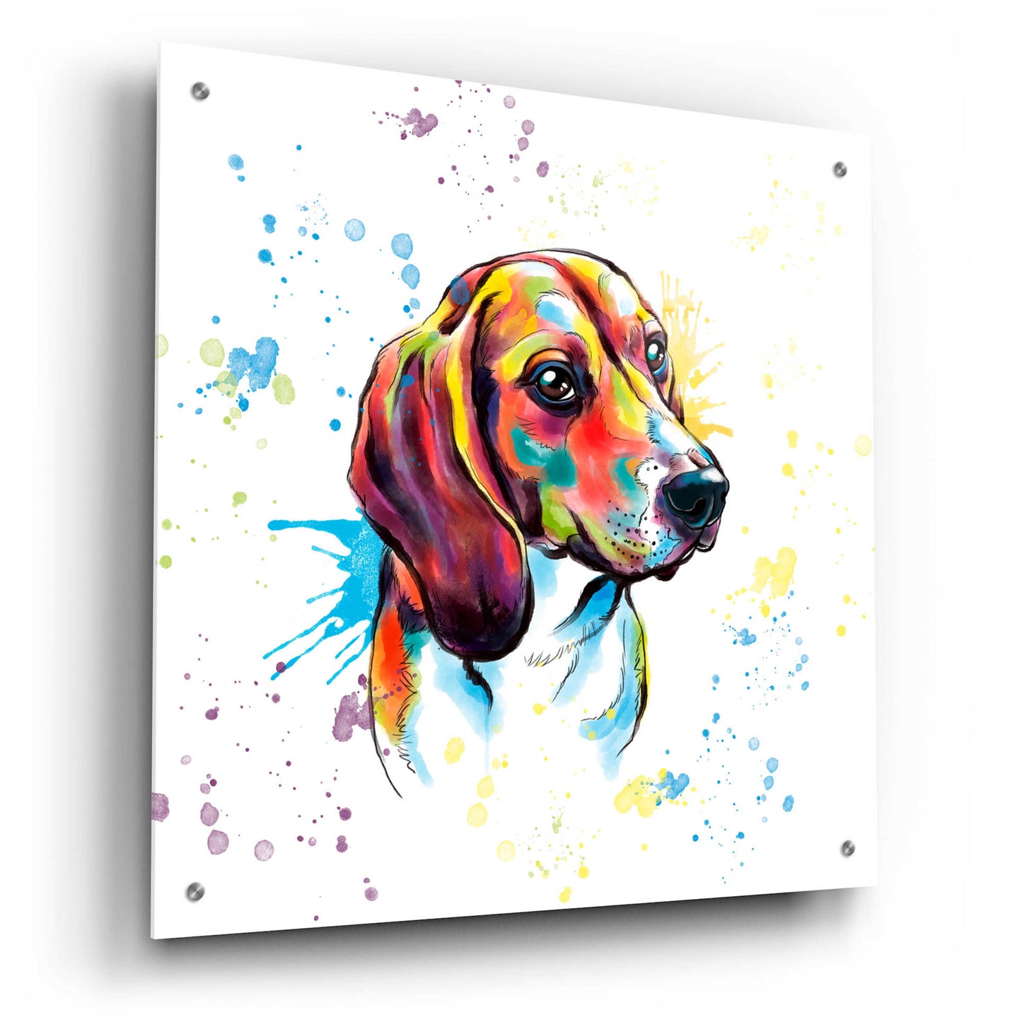 Epic Art 'Colorful Watercolor Beagle' by Furbaby Affiliates, Acrylic Glass Wall Art,24x24