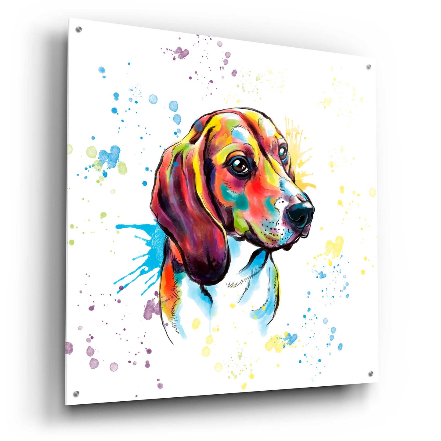 Epic Art 'Colorful Watercolor Beagle' by Furbaby Affiliates, Acrylic Glass Wall Art,36x36