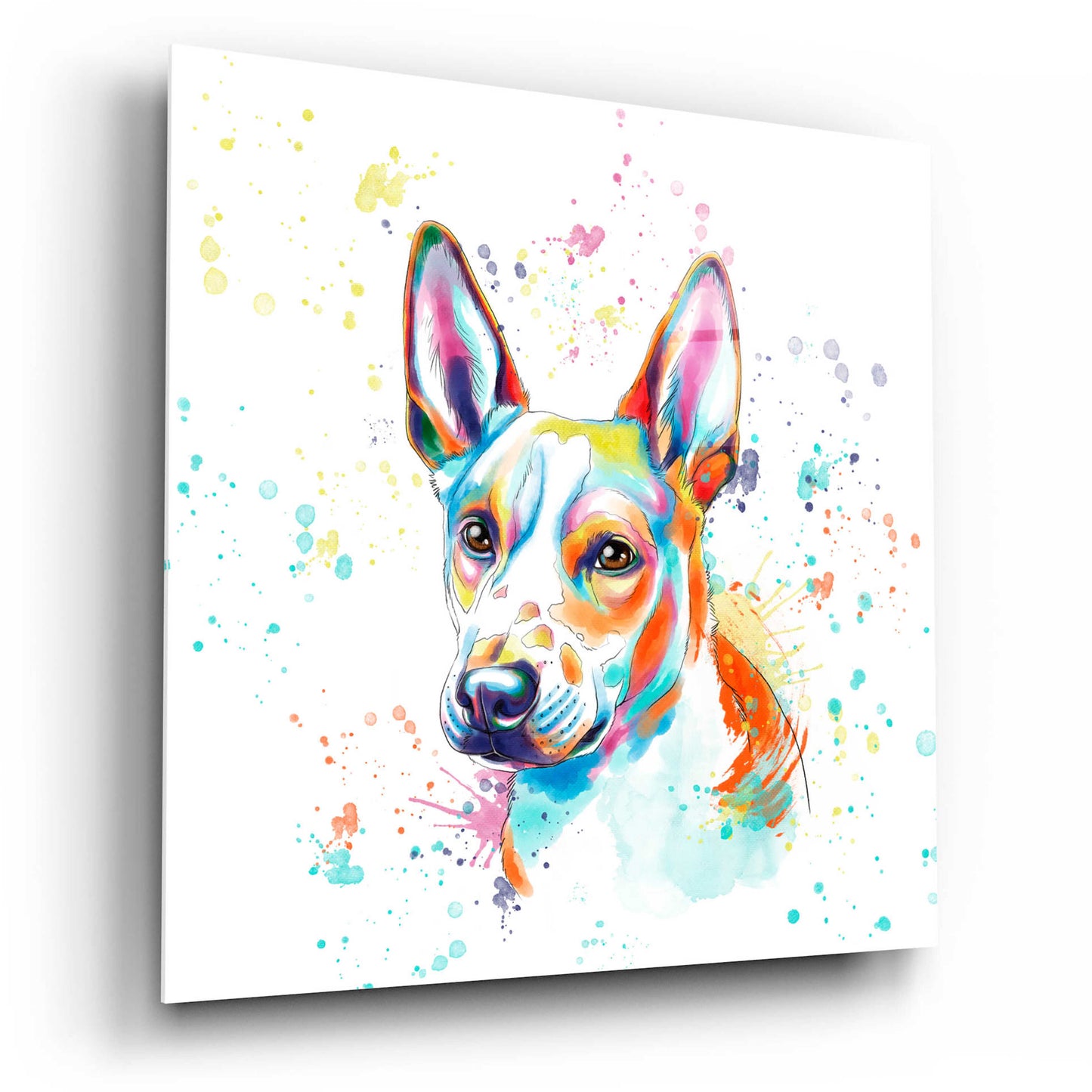 Epic Art 'Colorful Watercolor Basenji' by Furbaby Affiliates, Acrylic Glass Wall Art,12x12