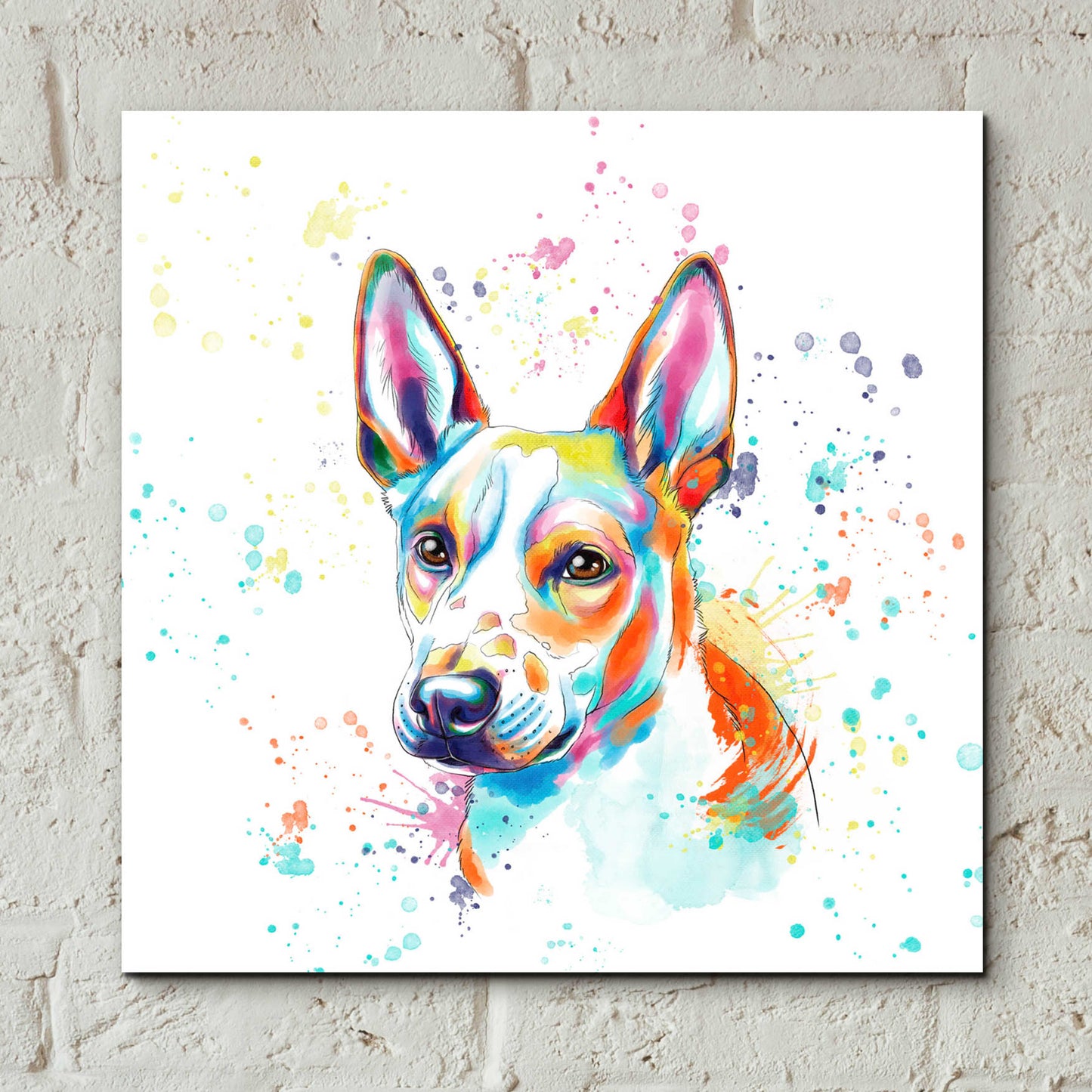 Epic Art 'Colorful Watercolor Basenji' by Furbaby Affiliates, Acrylic Glass Wall Art,12x12