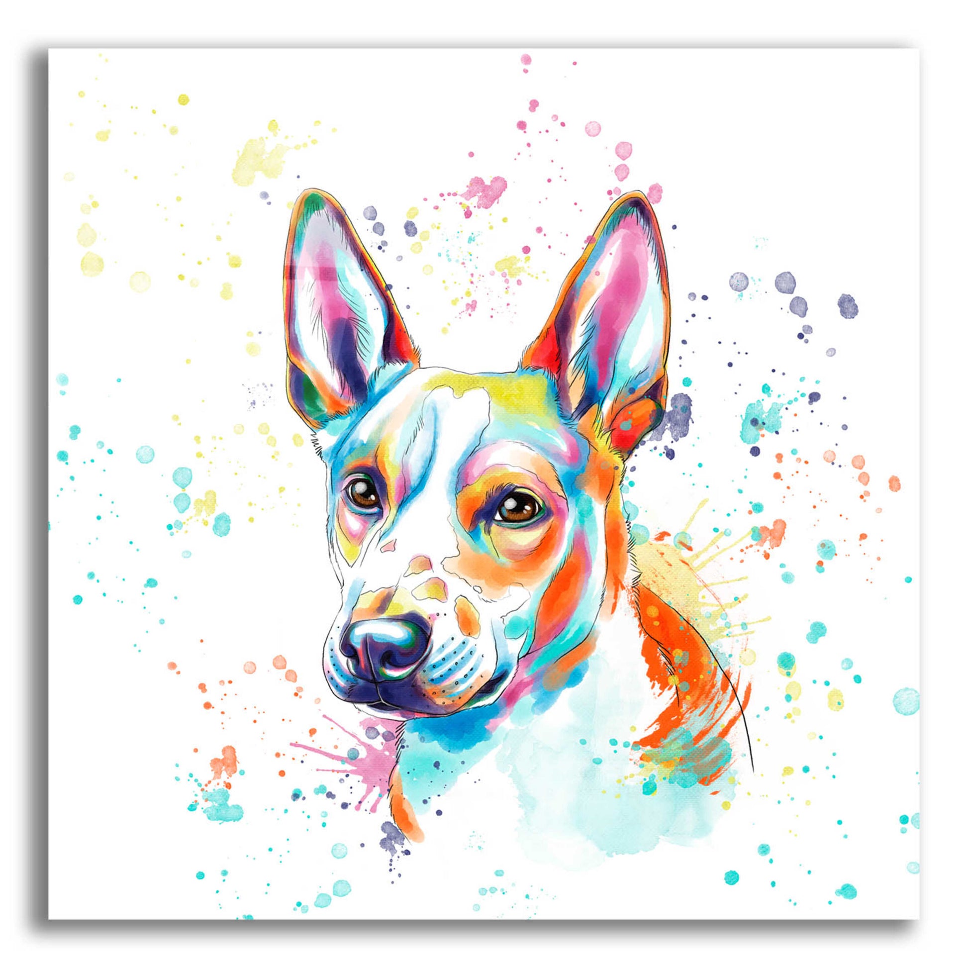 Epic Art 'Colorful Watercolor Basenji' by Furbaby Affiliates, Acrylic Glass Wall Art,12x12