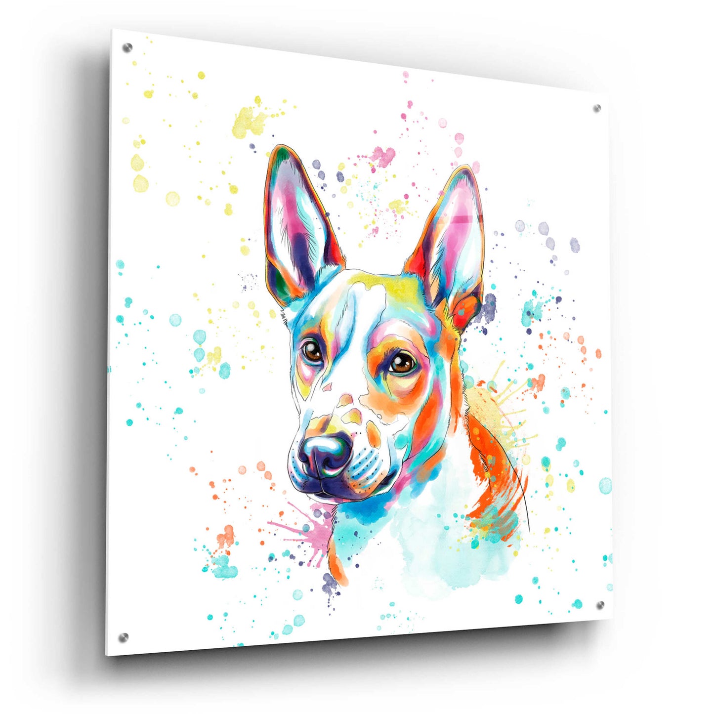 Epic Art 'Colorful Watercolor Basenji' by Furbaby Affiliates, Acrylic Glass Wall Art,36x36