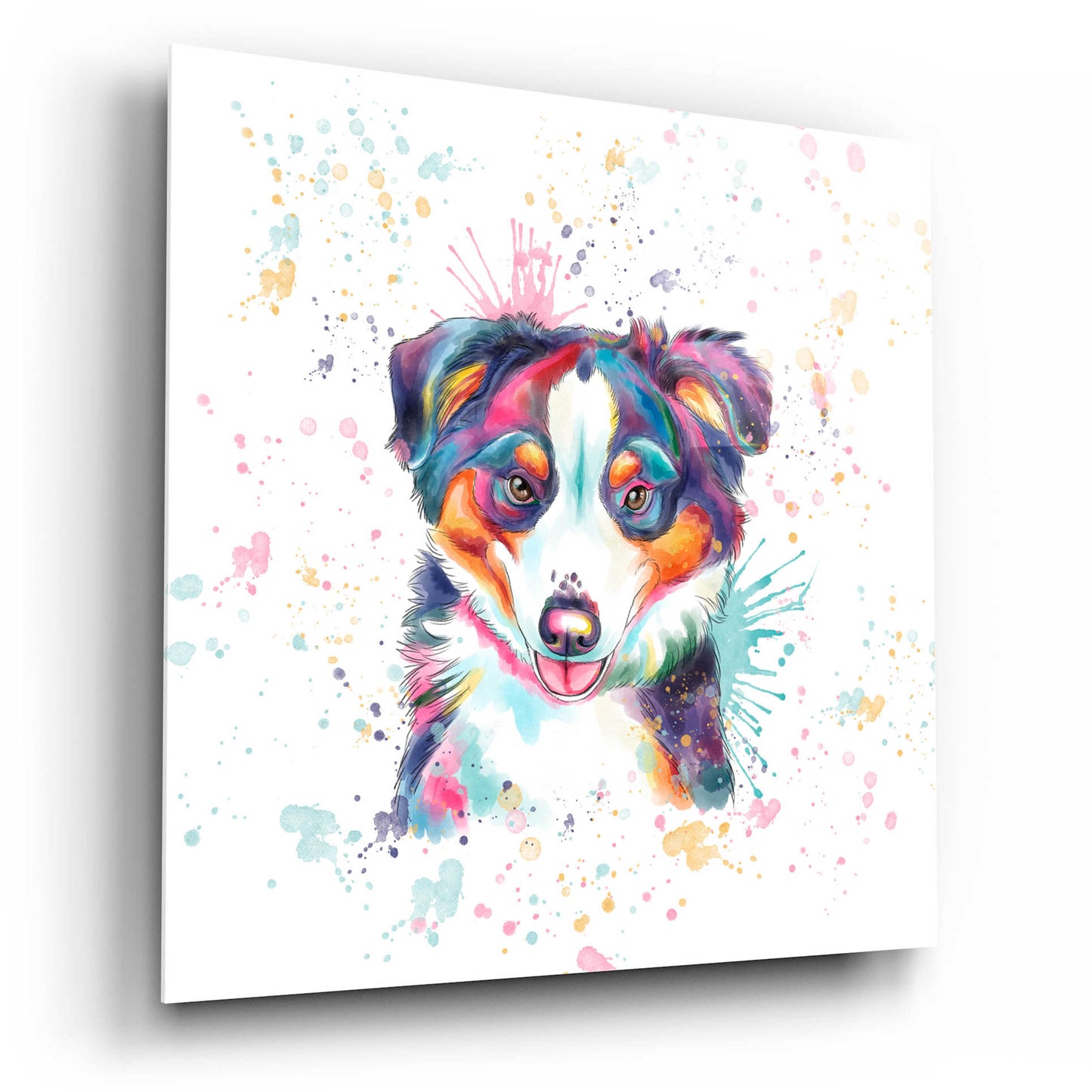 Epic Art 'Colorful Watercolor Australian Shepherd' by Furbaby Affiliates, Acrylic Glass Wall Art,12x12